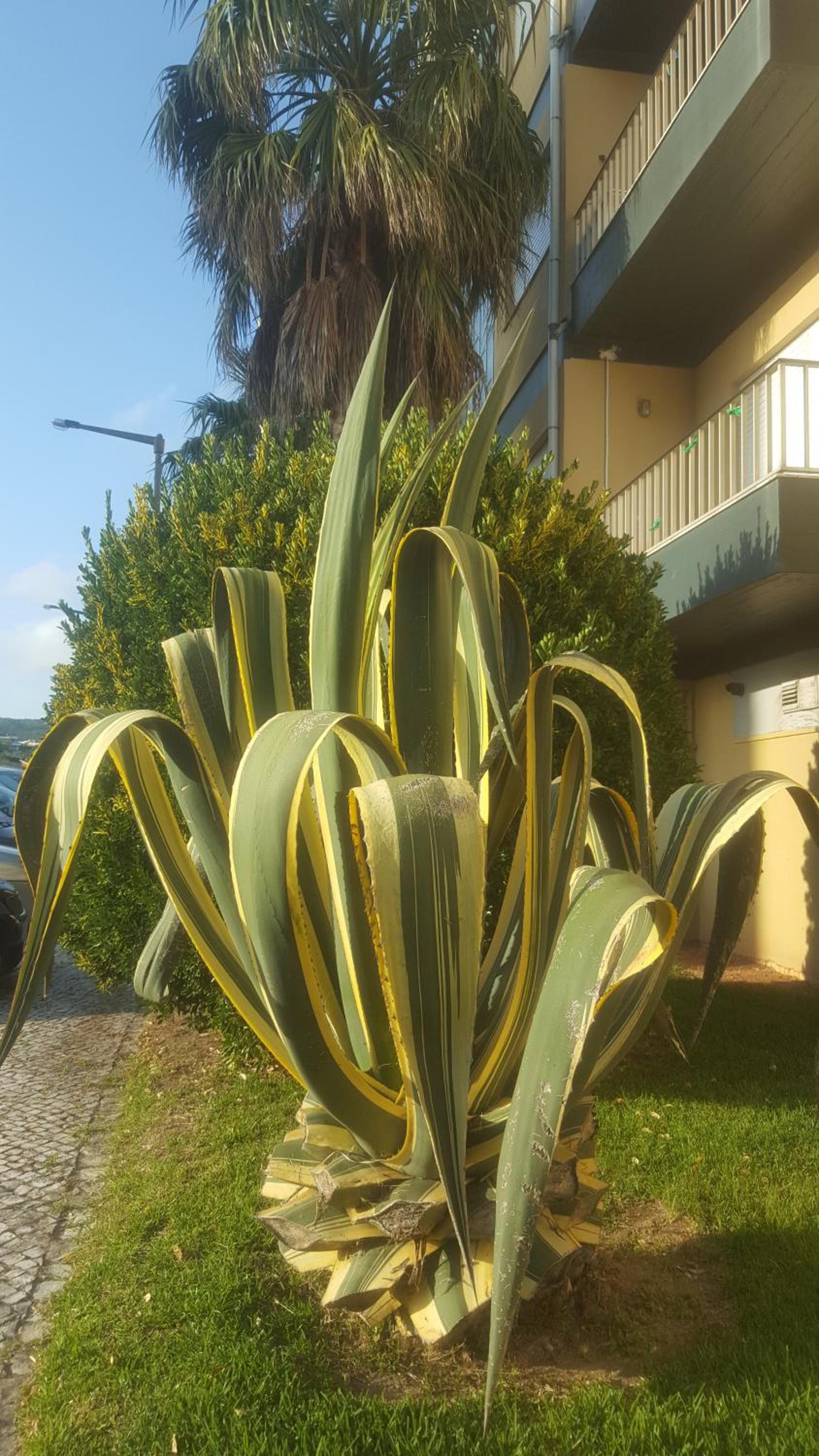 Buarcos Beach House
