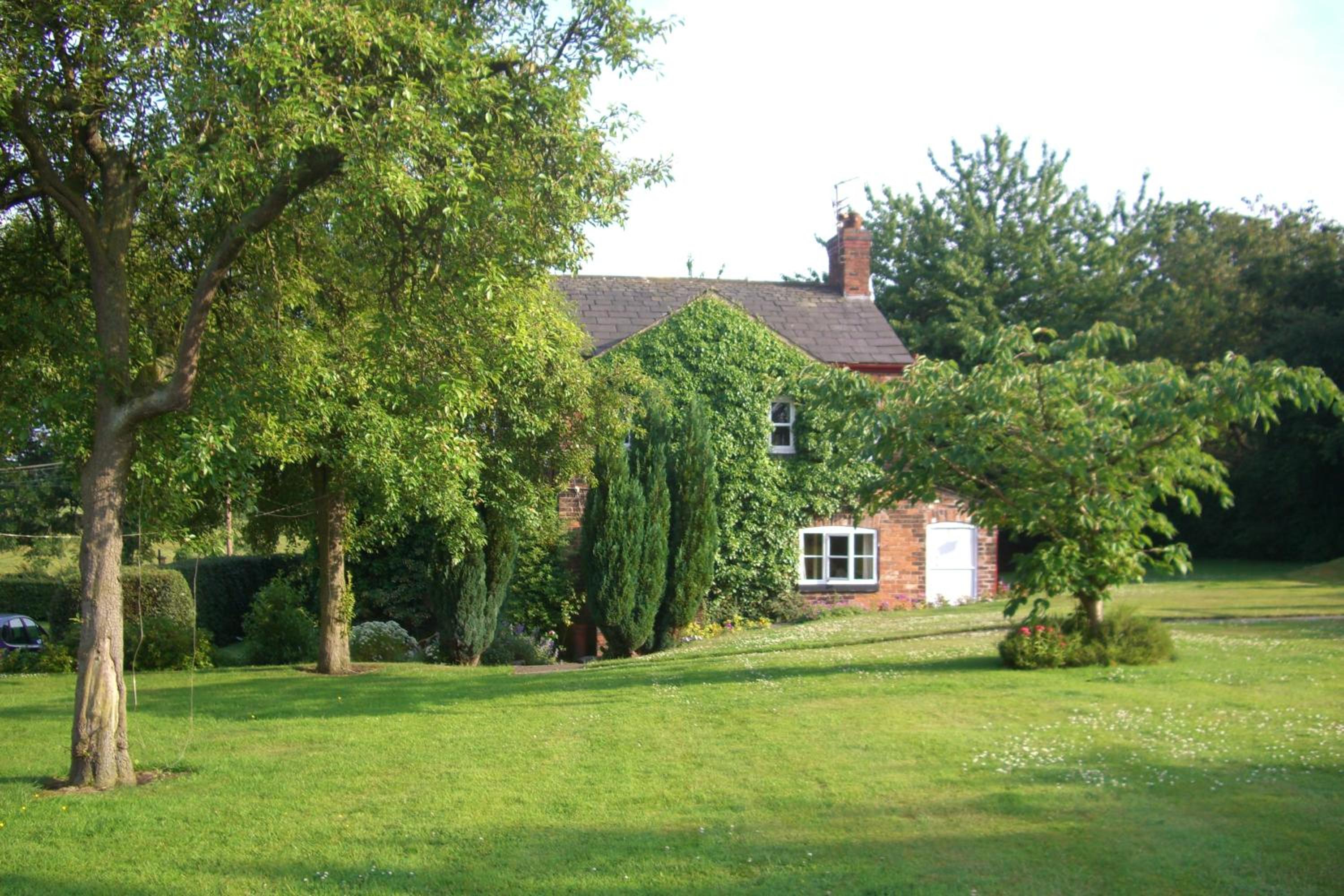 Photo 12