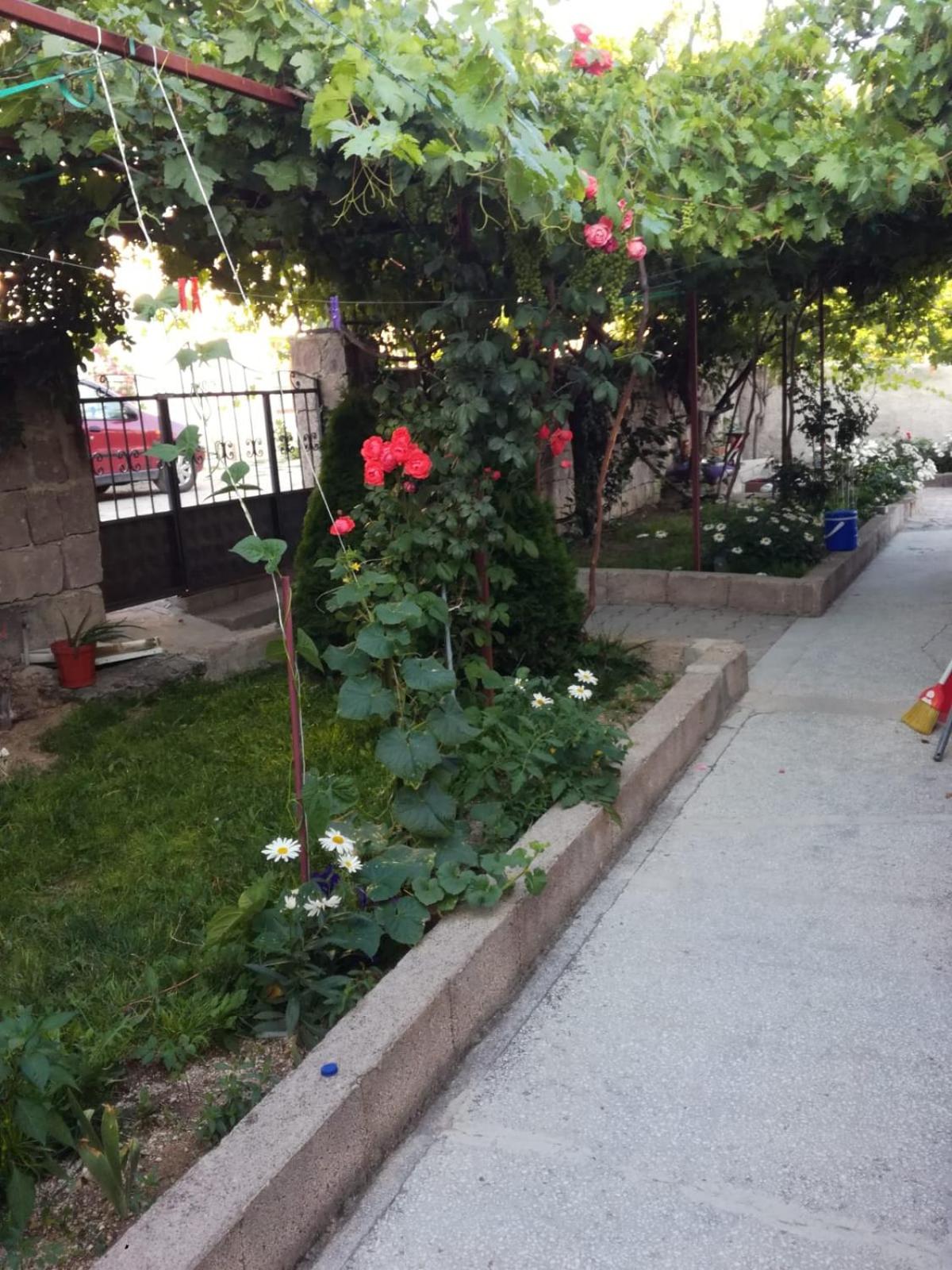 Photo 39