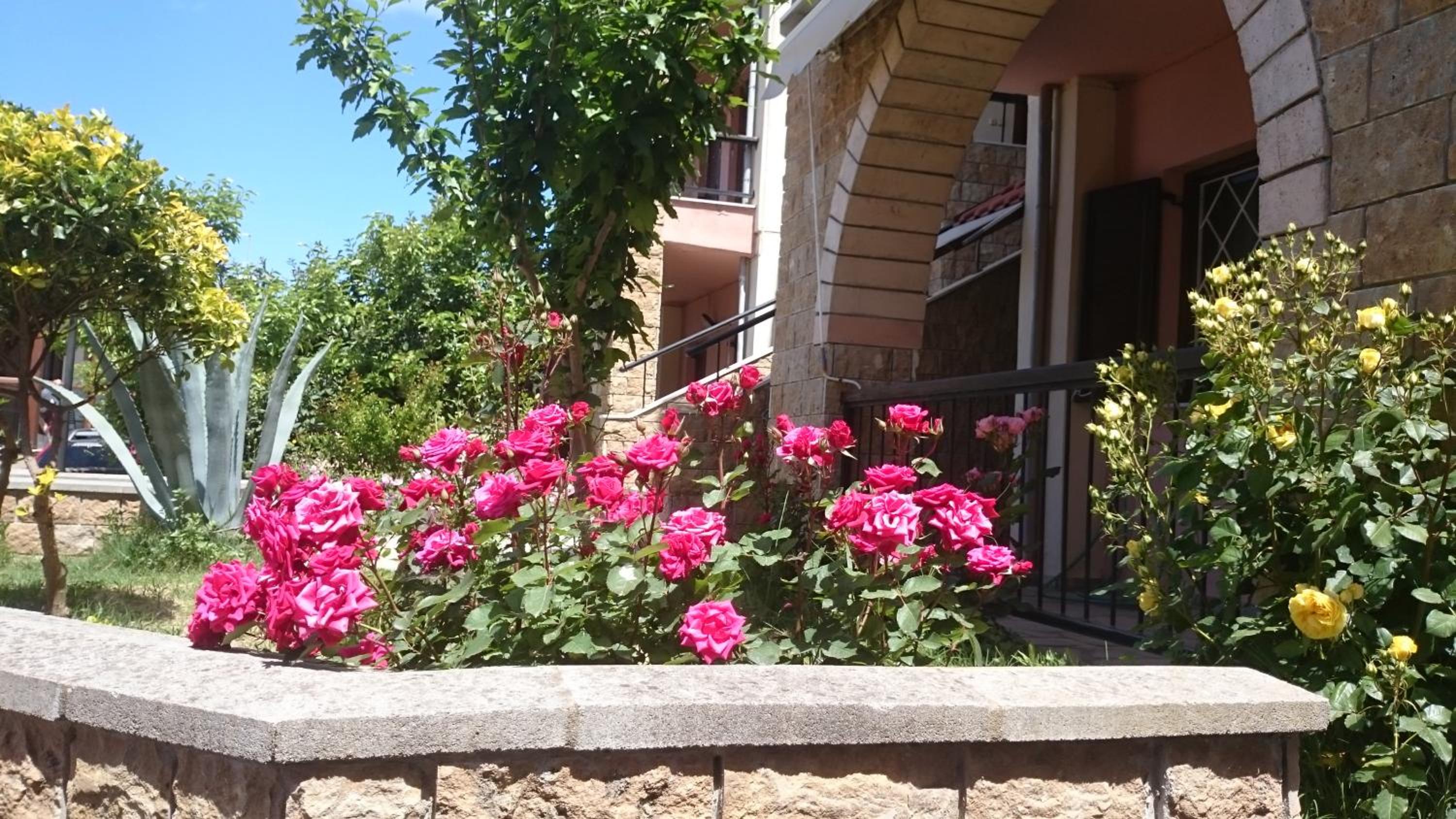 Photo 34