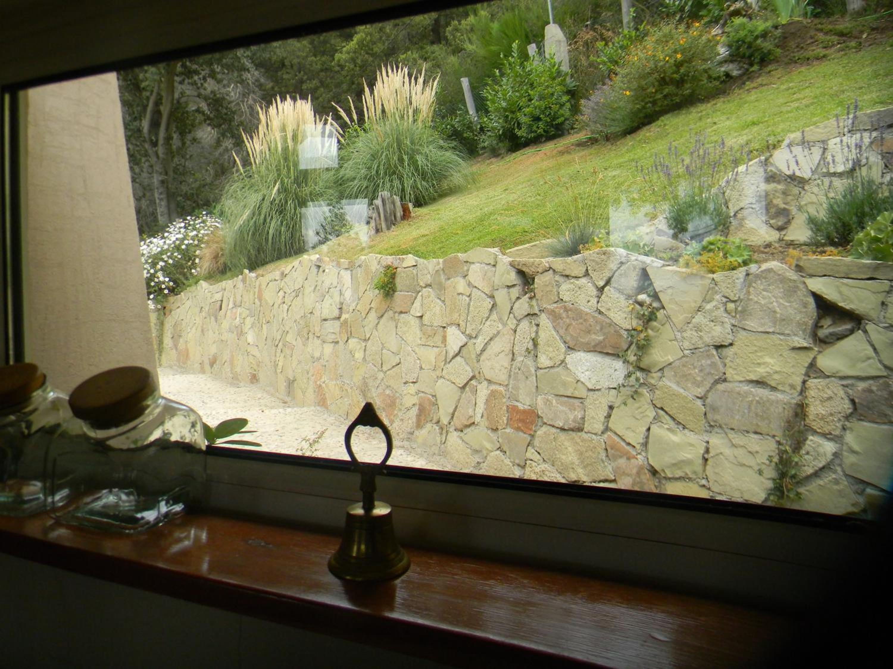 Ventanas Al Lago