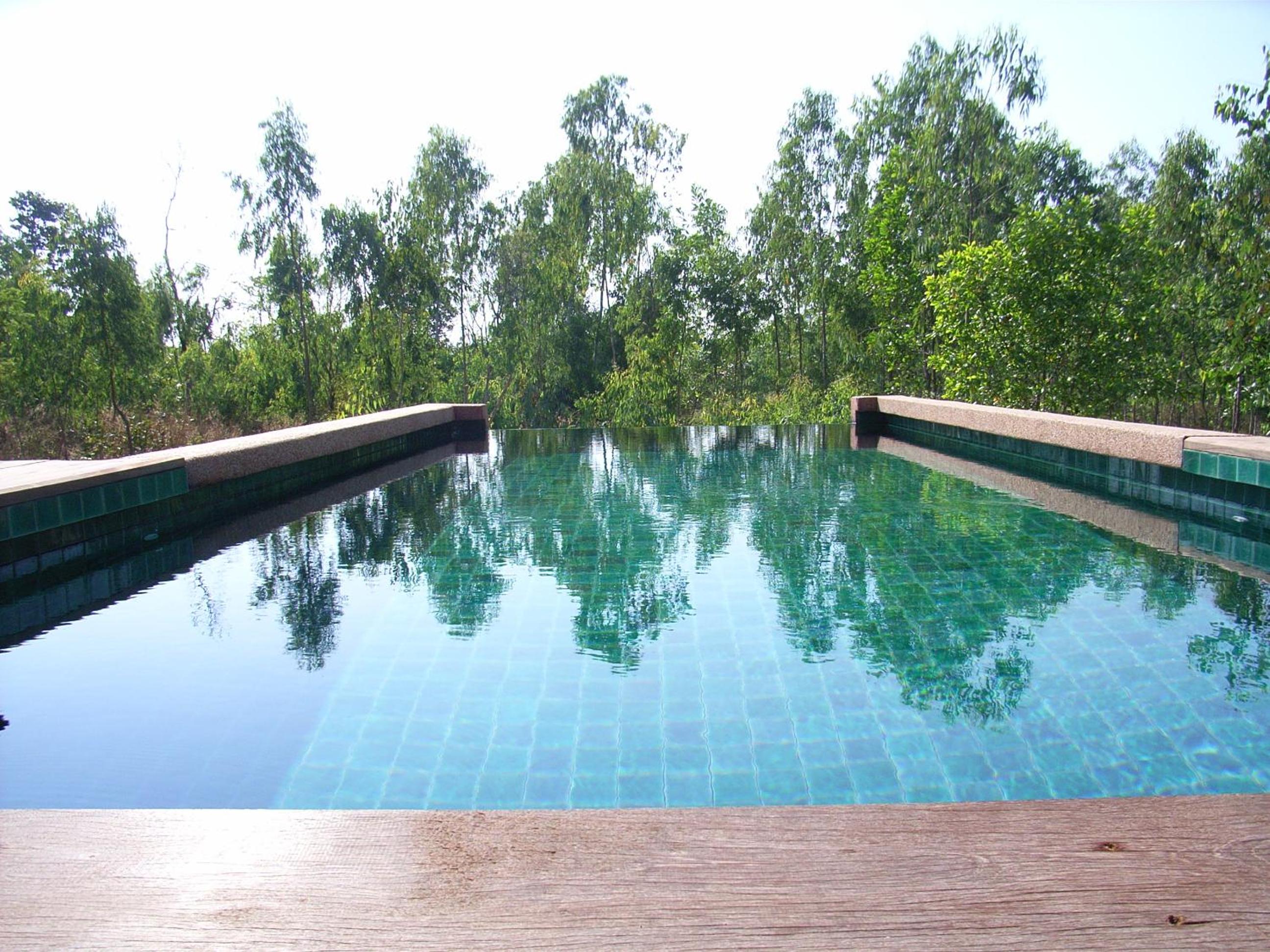Green Gecko view 4