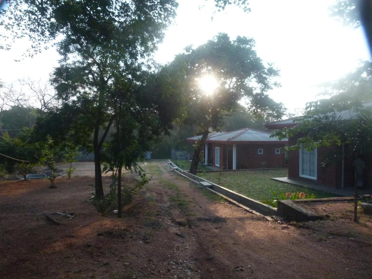 Photo 39