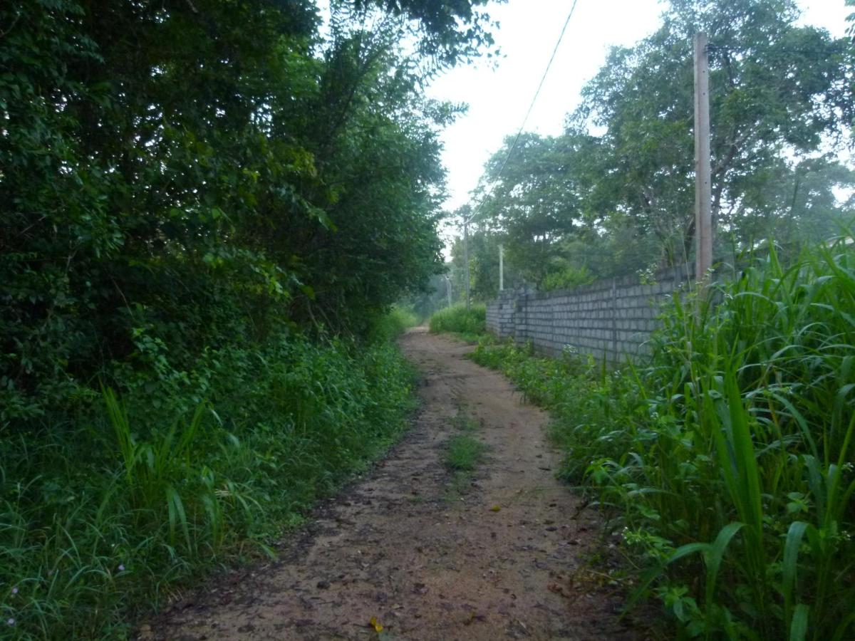 Photo 35