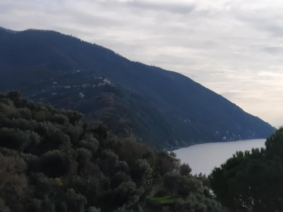 Villa San Prospero