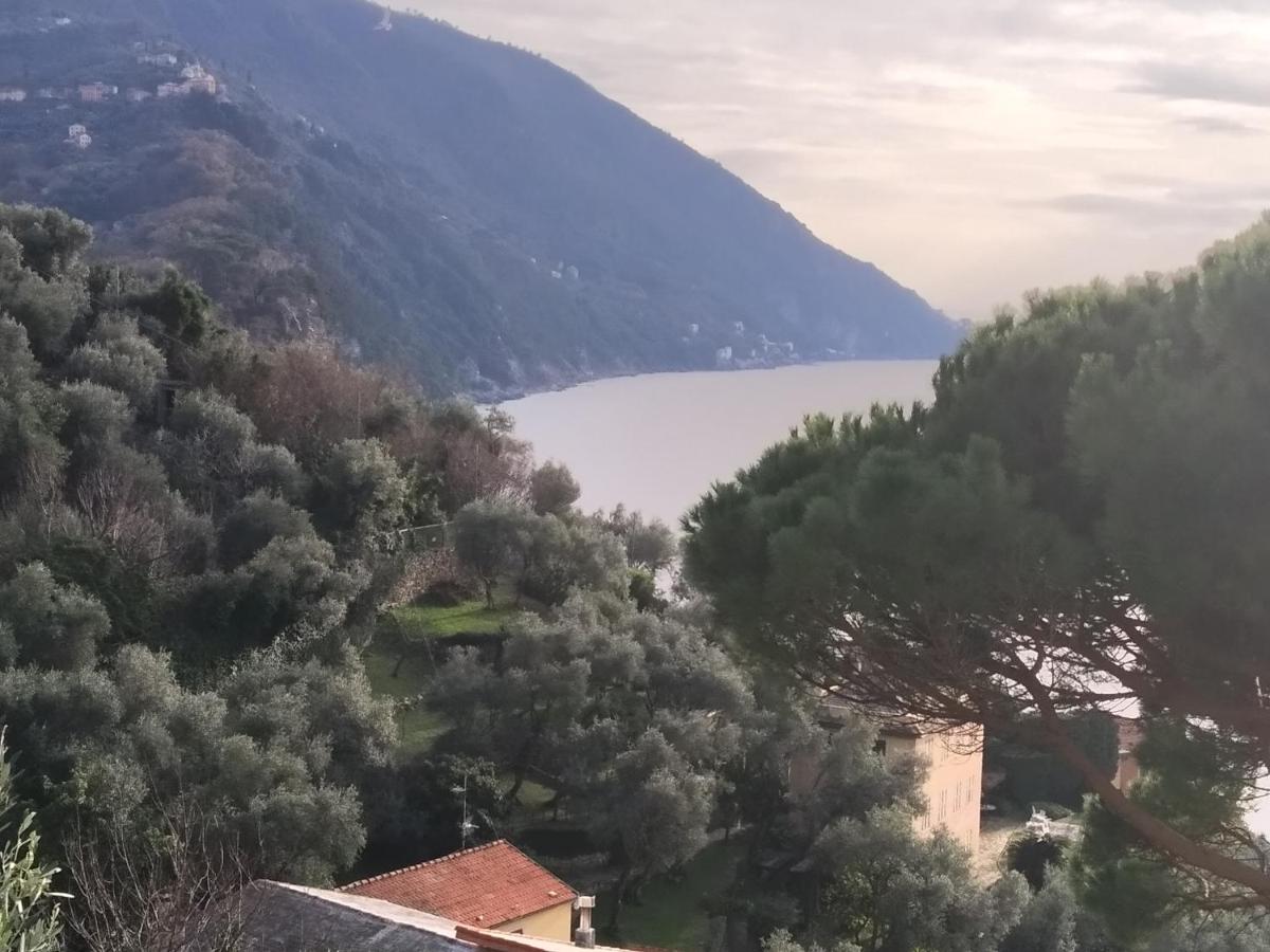 Villa San Prospero