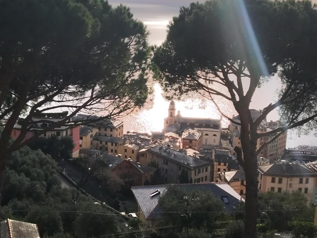 Villa San Prospero