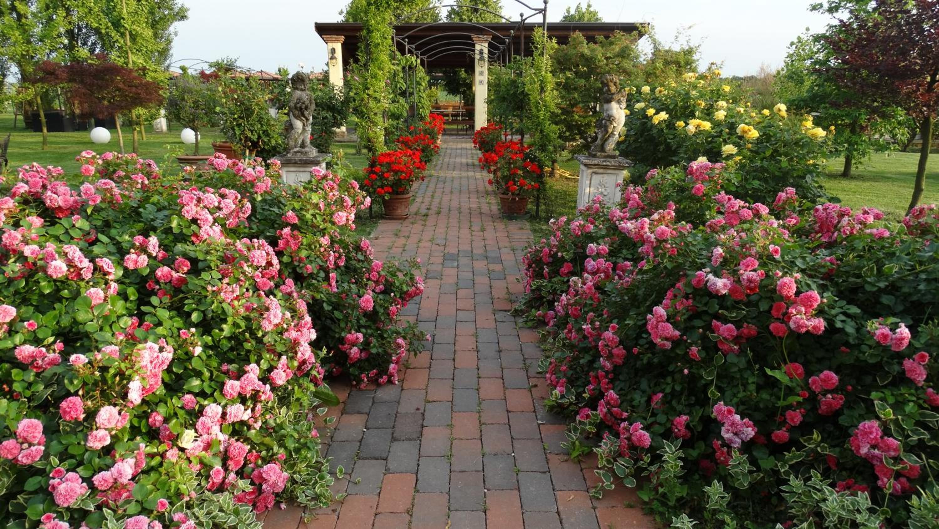 Millefiori la Corte delle Rose