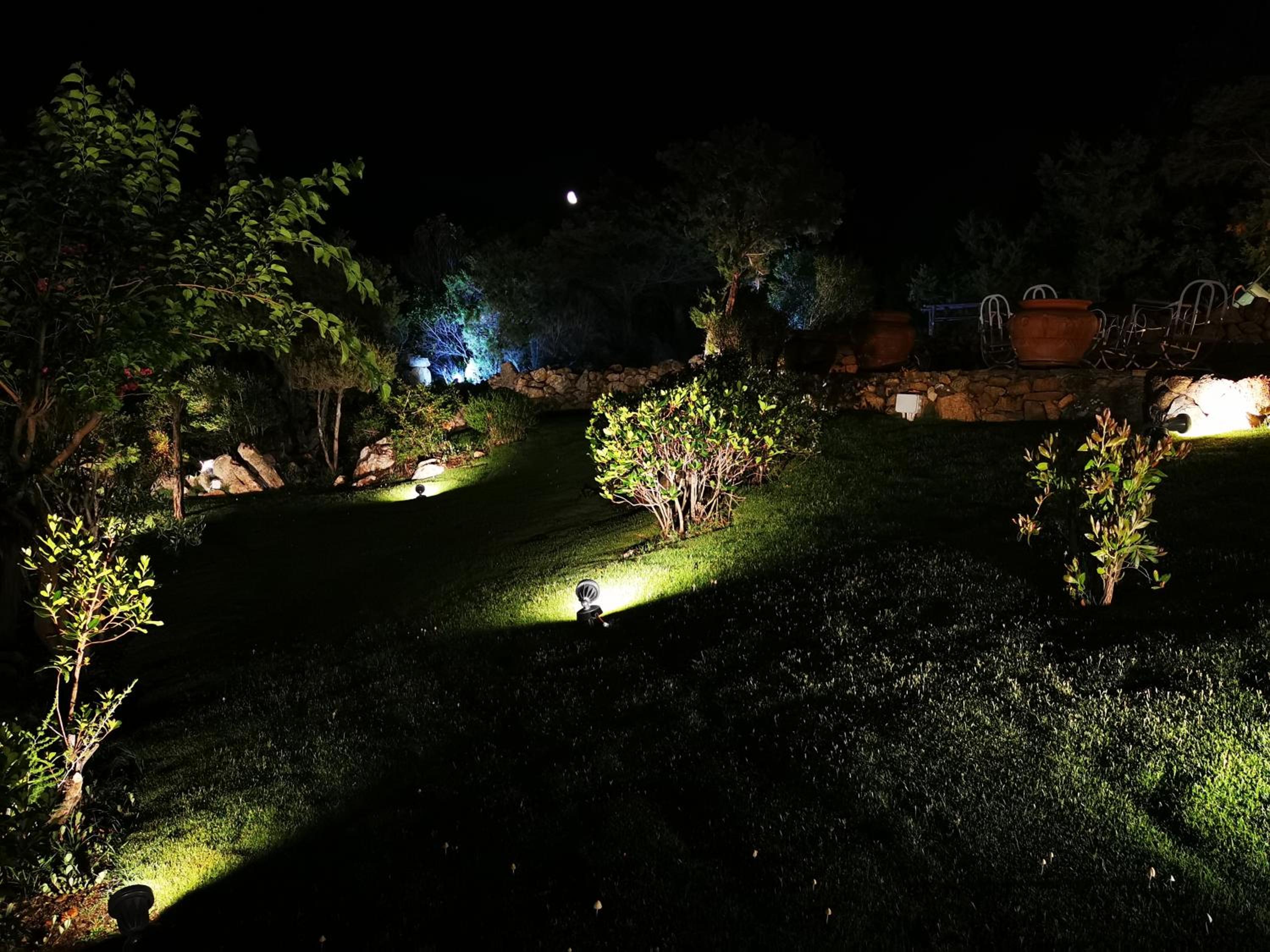Photo 45
