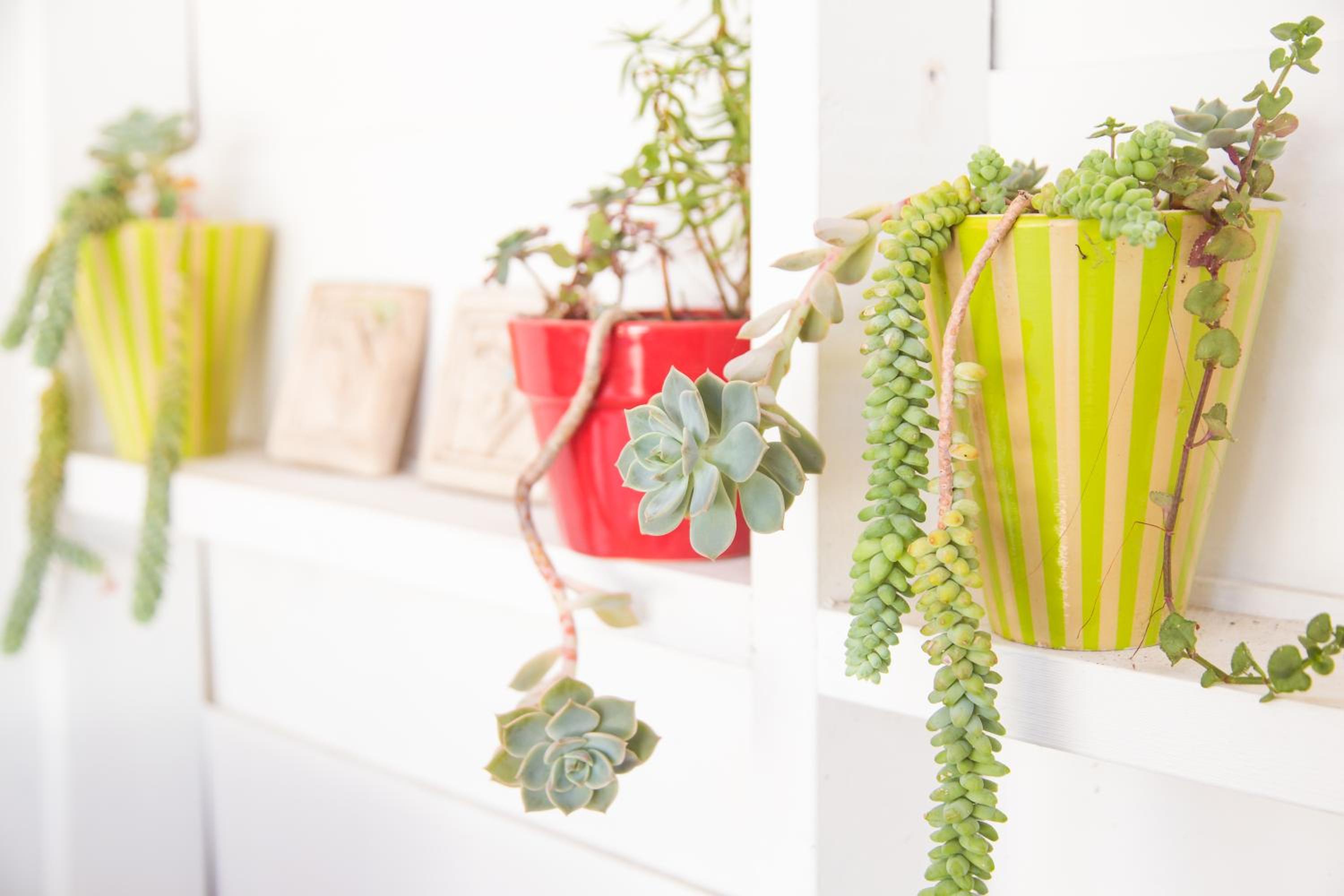 Green Nook