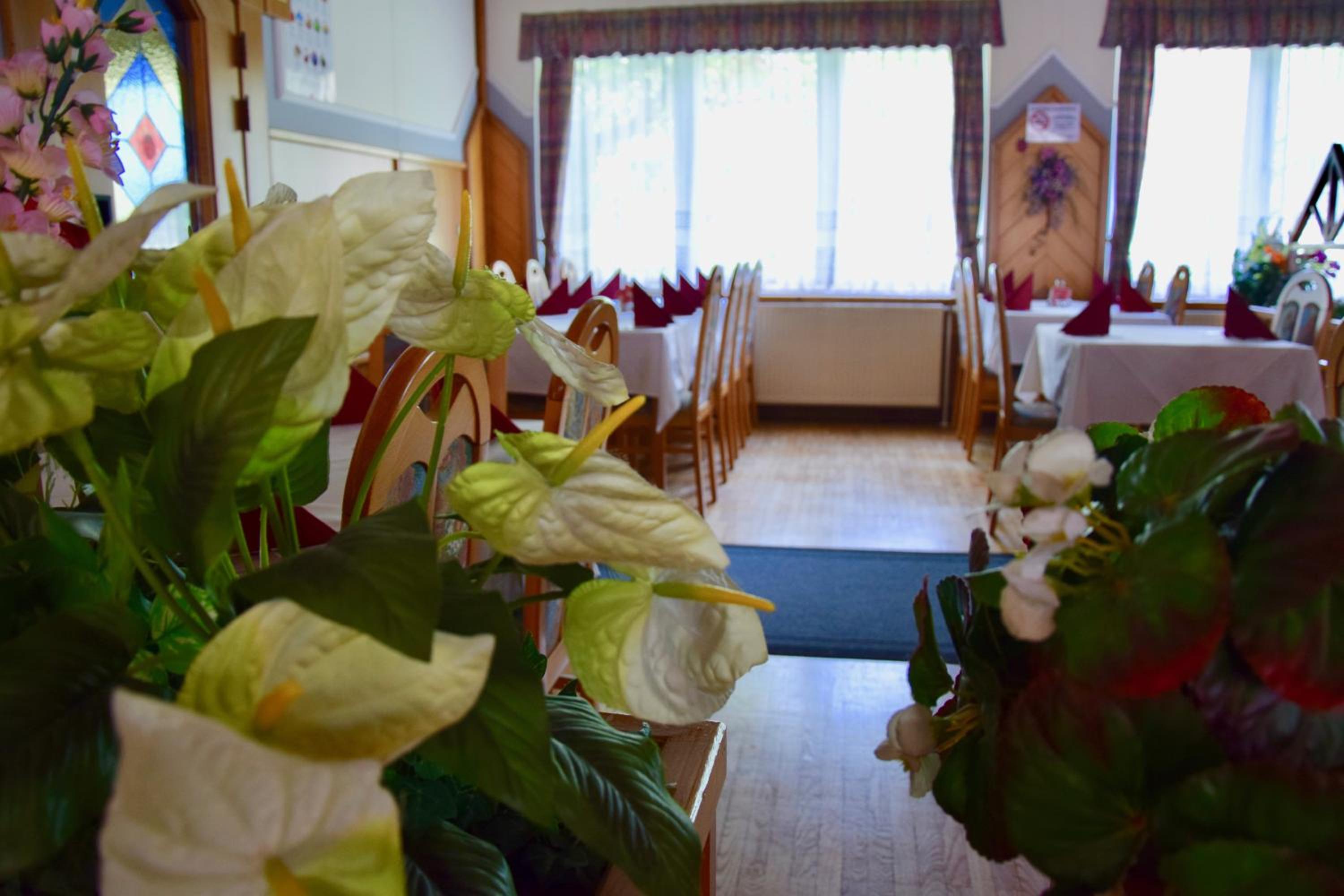 Photo 49