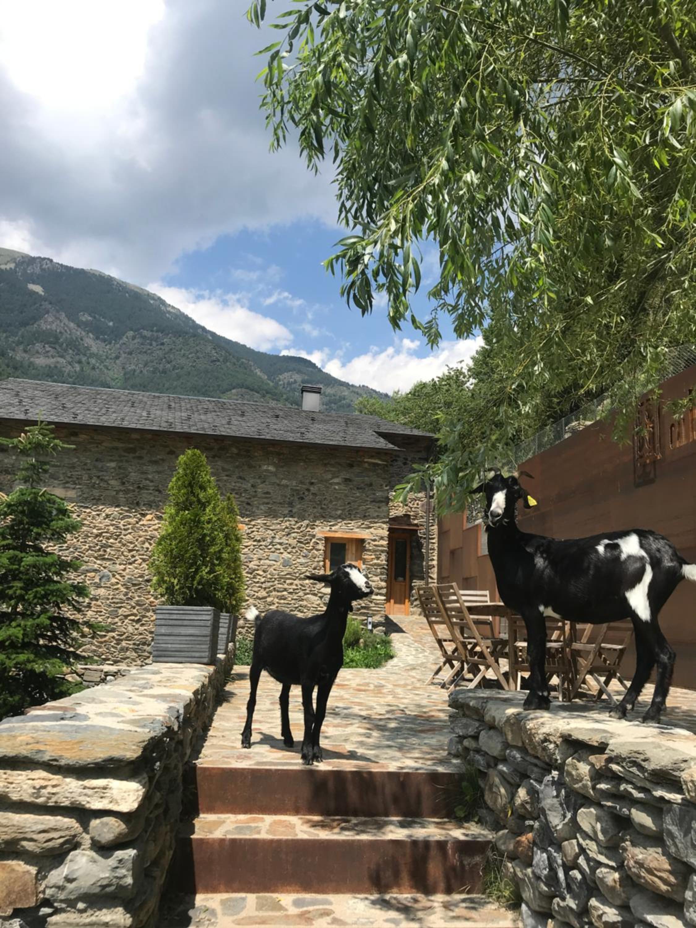 Cal Batlle Casa Rural