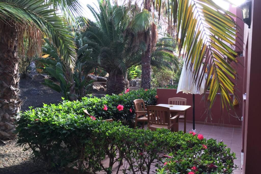 Corralejo Oasis Tamarindo Dońa Laura 69b WI FI, smart TV, portico, piscine view 3