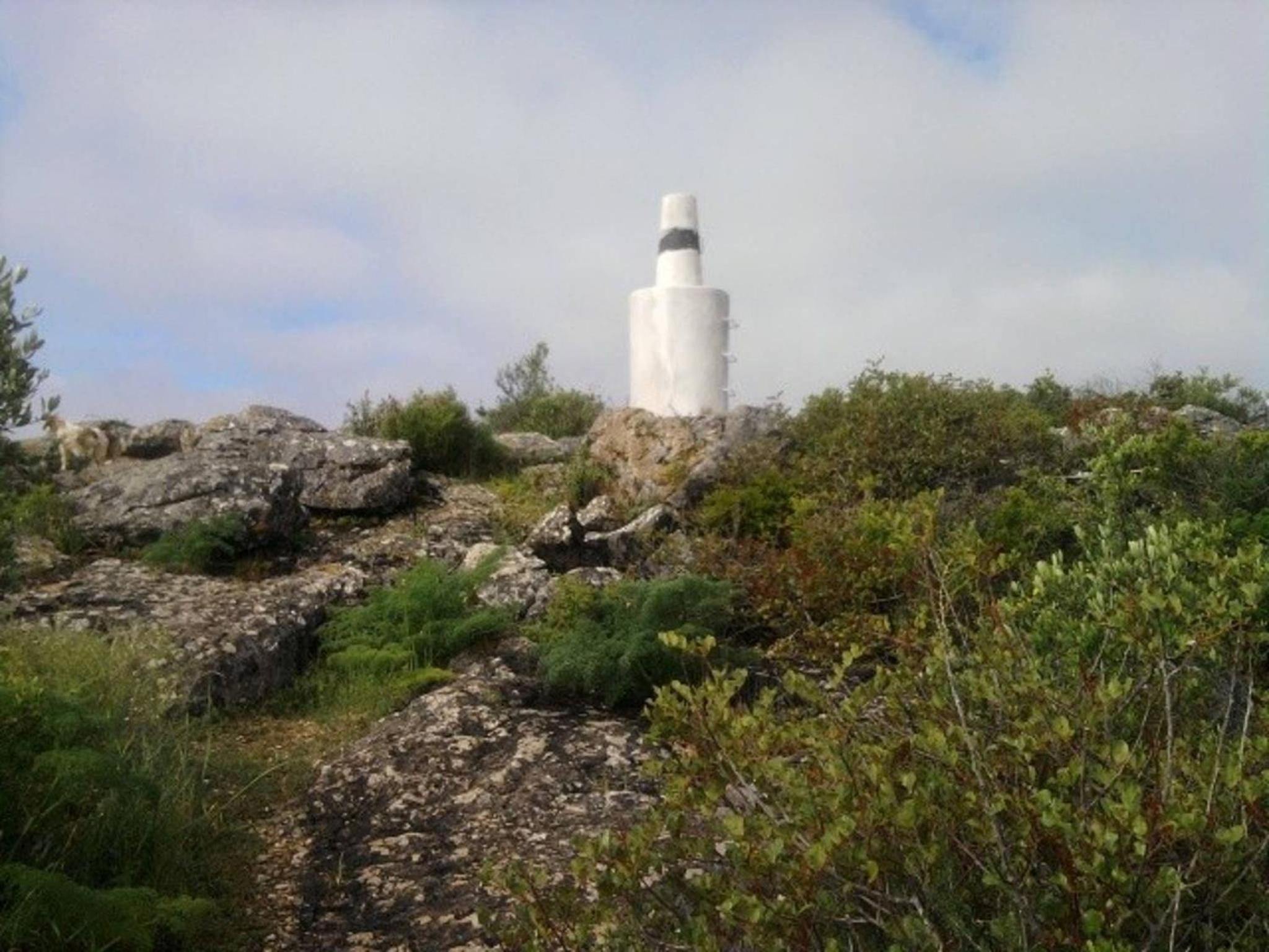 Photo 43