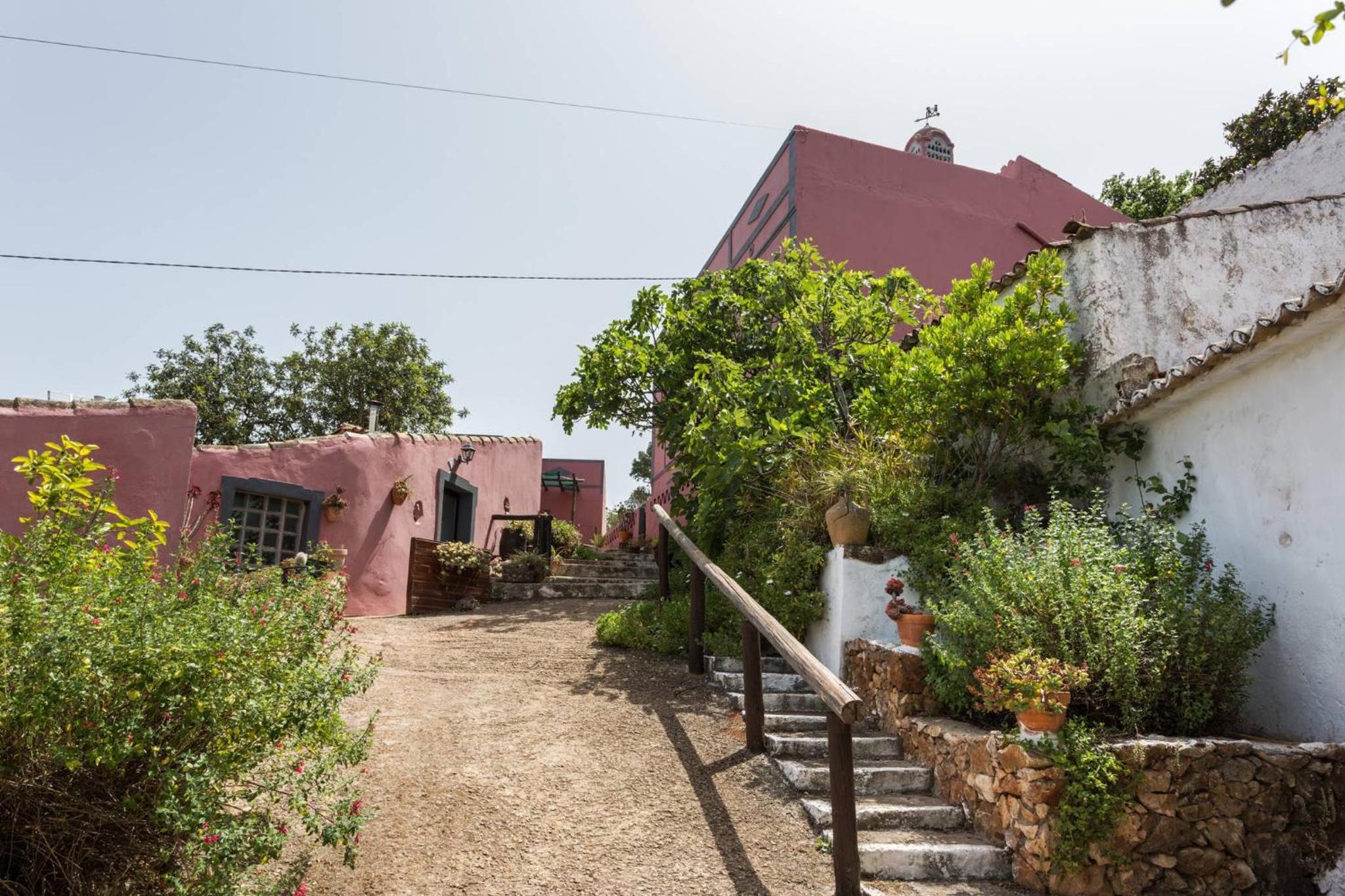 Casa Adega - Quinta Amoreira view 5