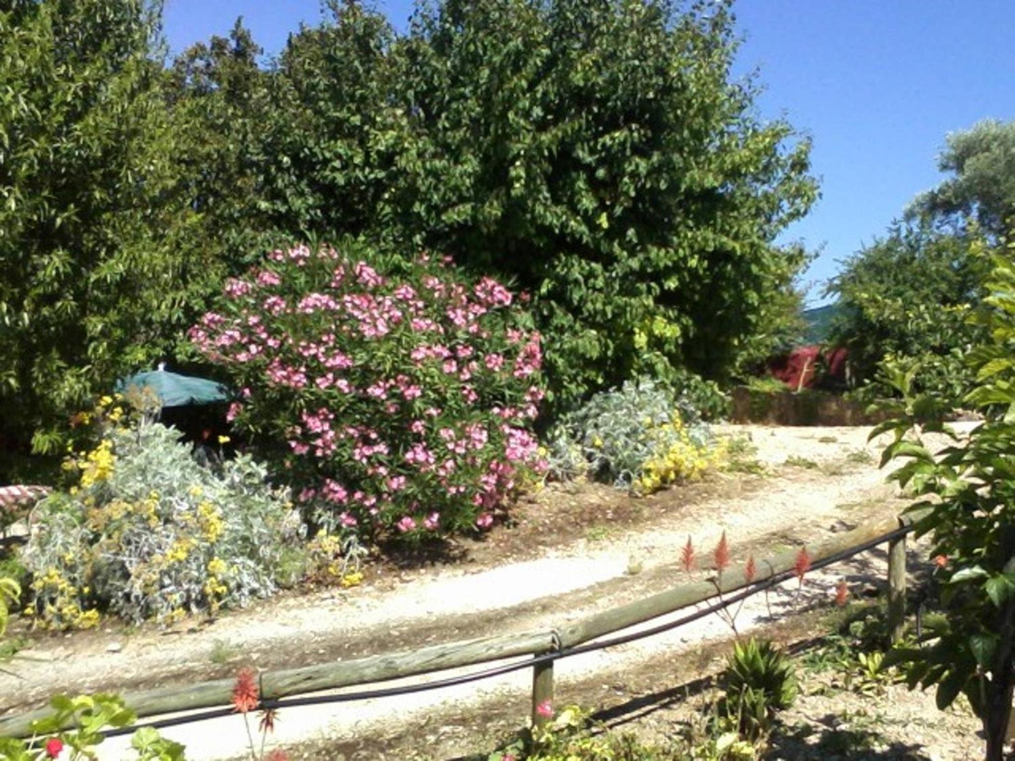 Photo 36