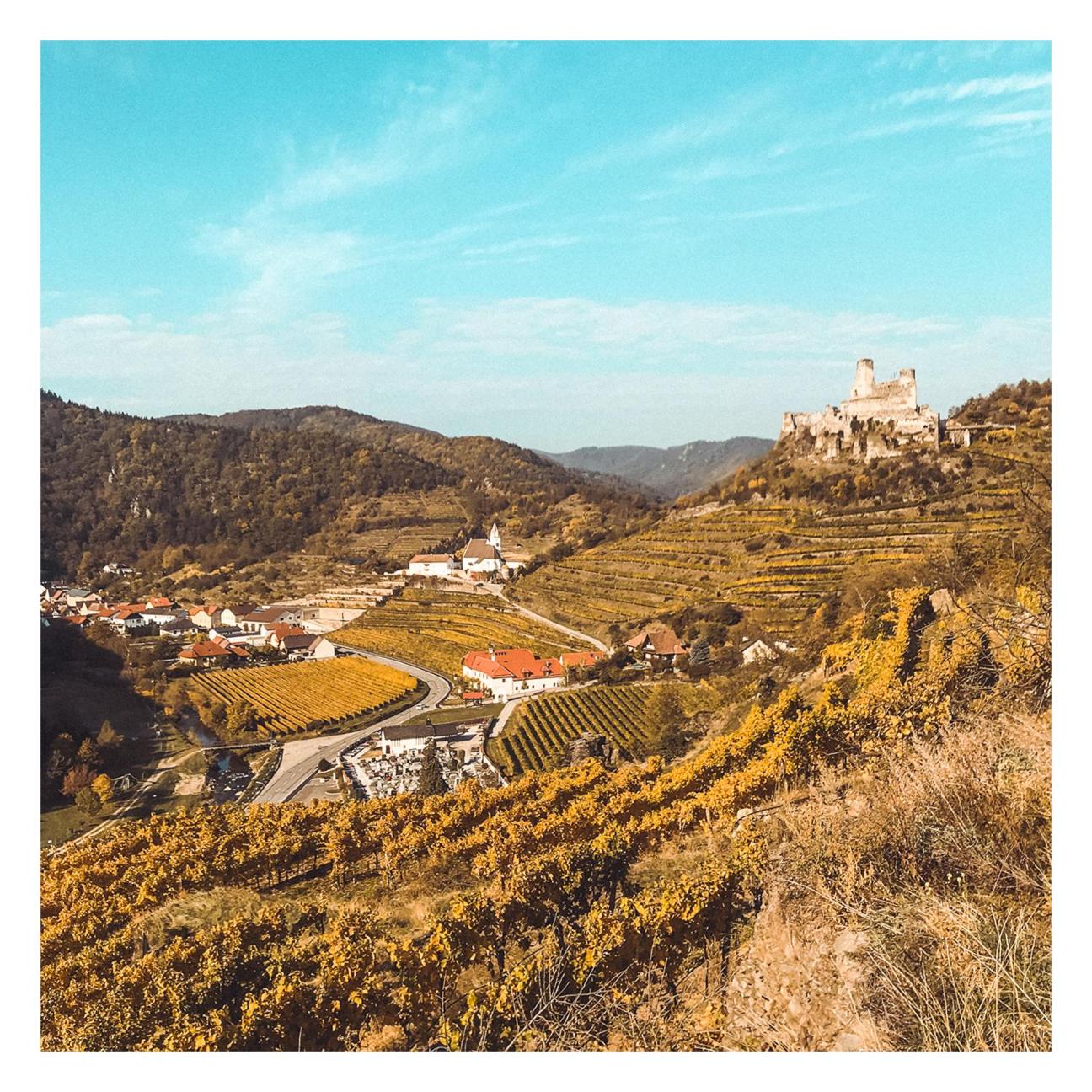 Weinhaus Nigl - Hotel, Restaurant und Spa