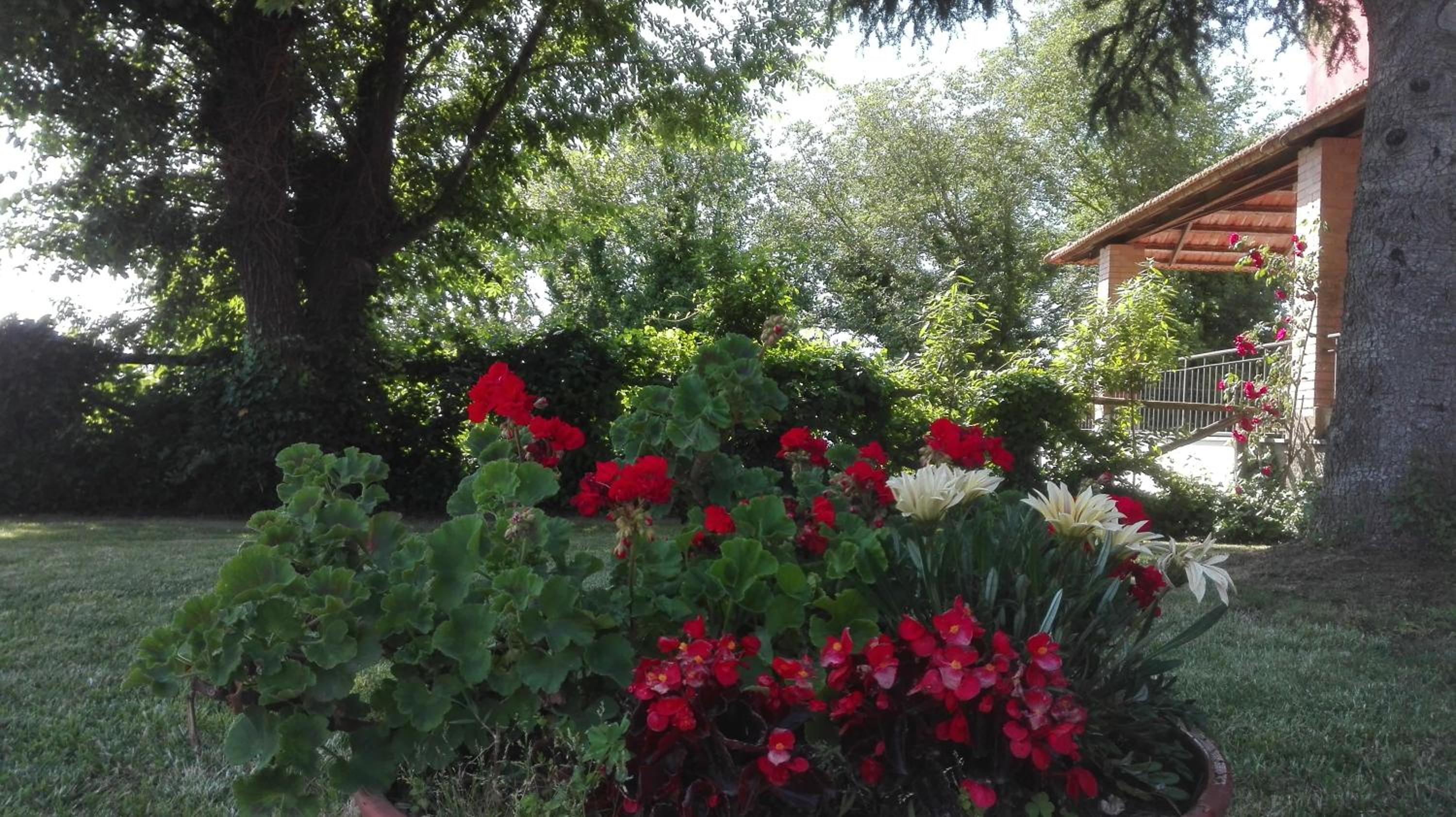 Photo 47
