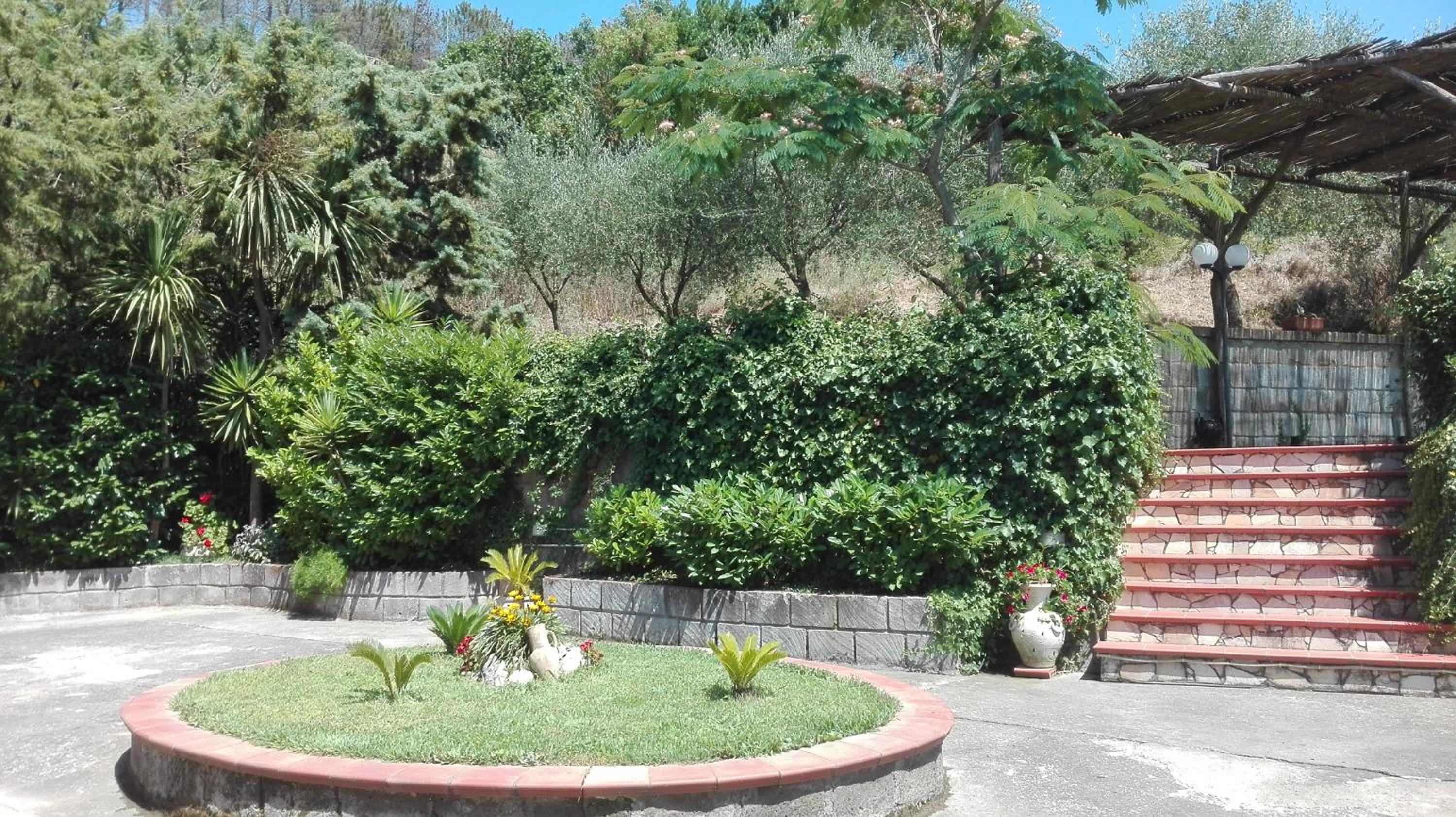 Photo 46