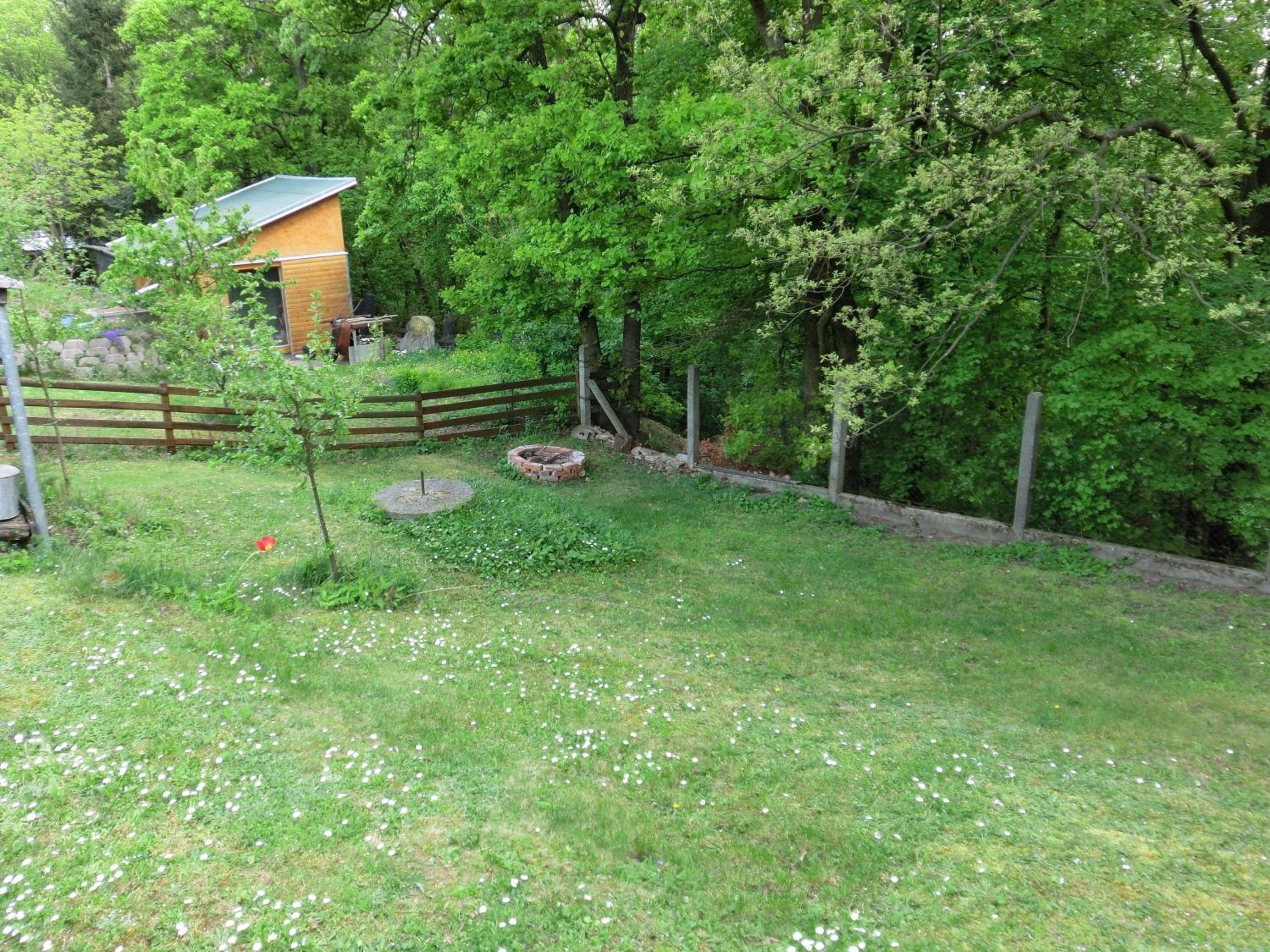 Photo 20