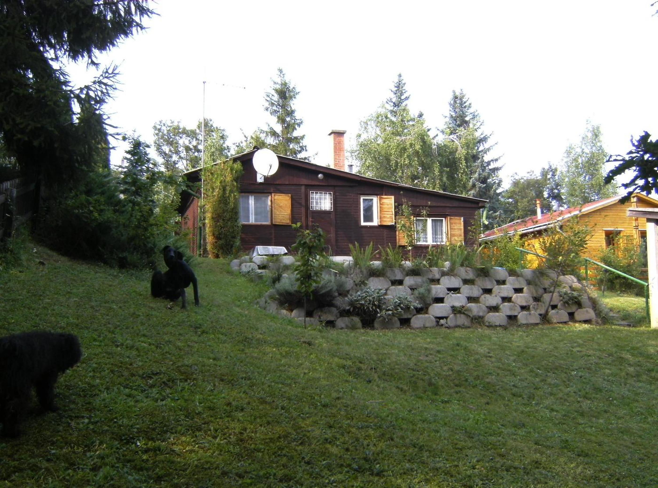 Photo 19