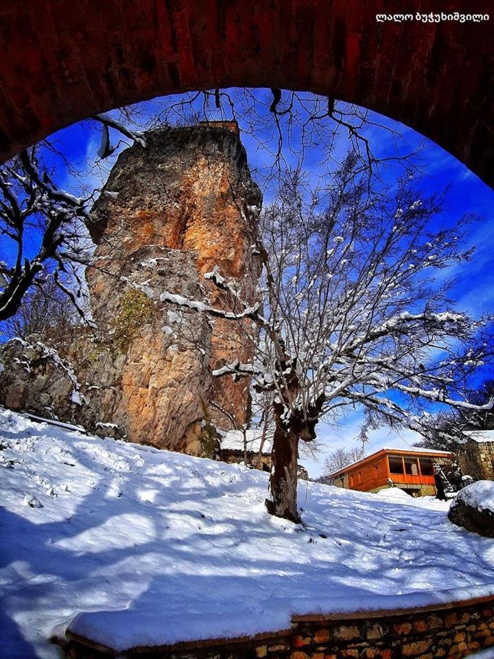 Butichi Guest House view 2