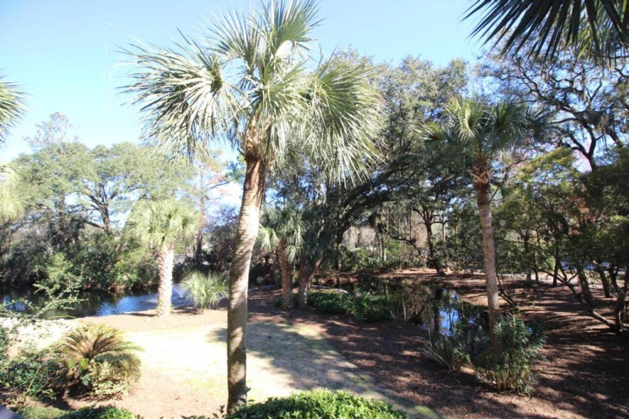 123 Forest Beach Villas view 4