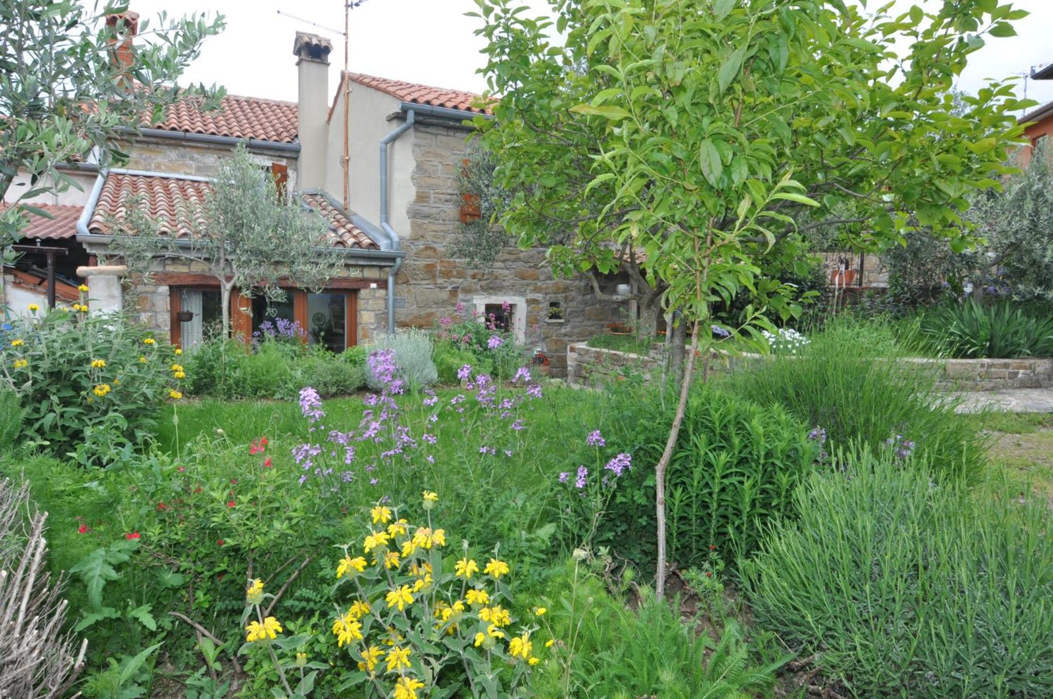 Istrian Stone House view 5