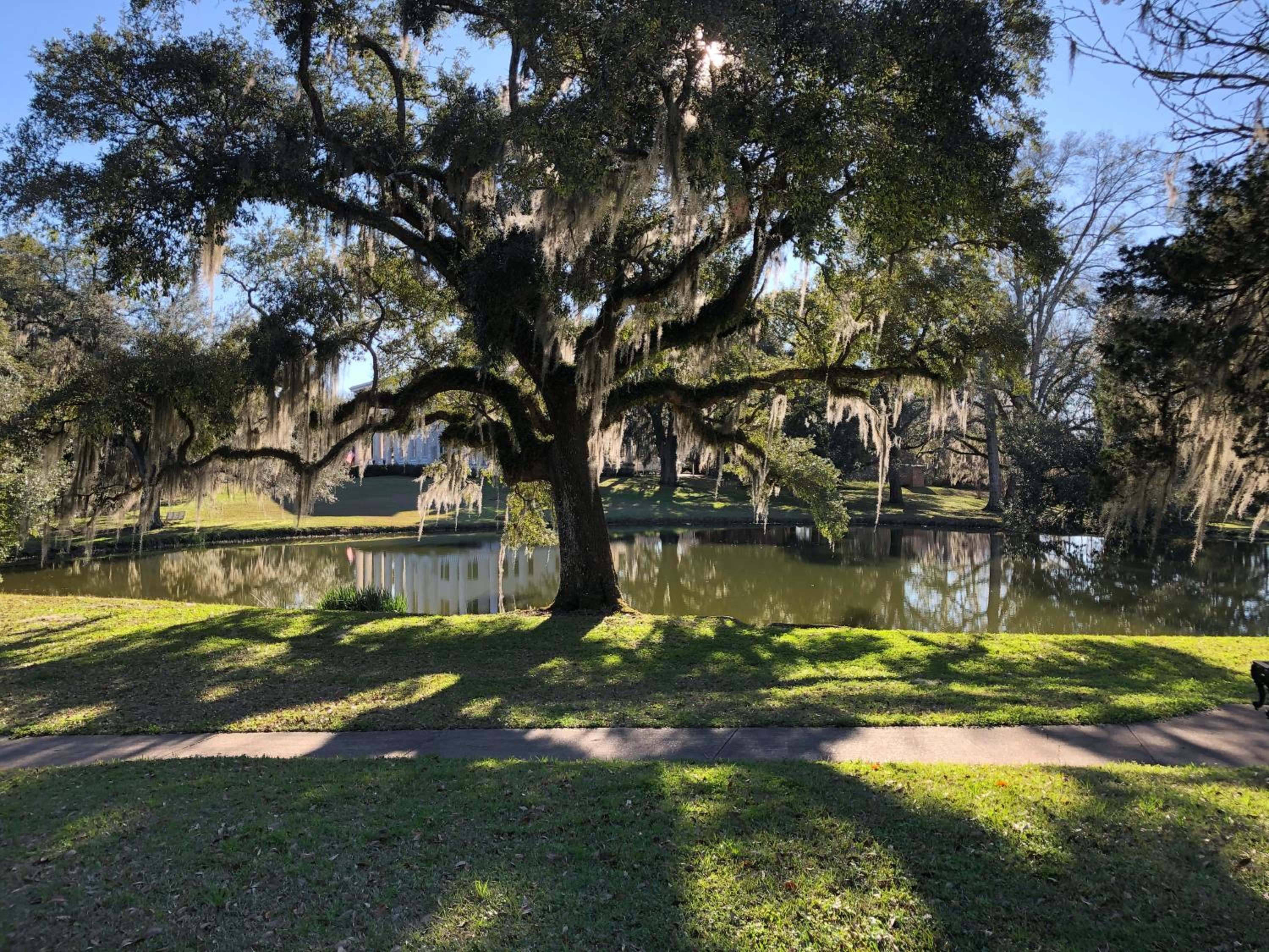Greenwood Plantation B&B Inn