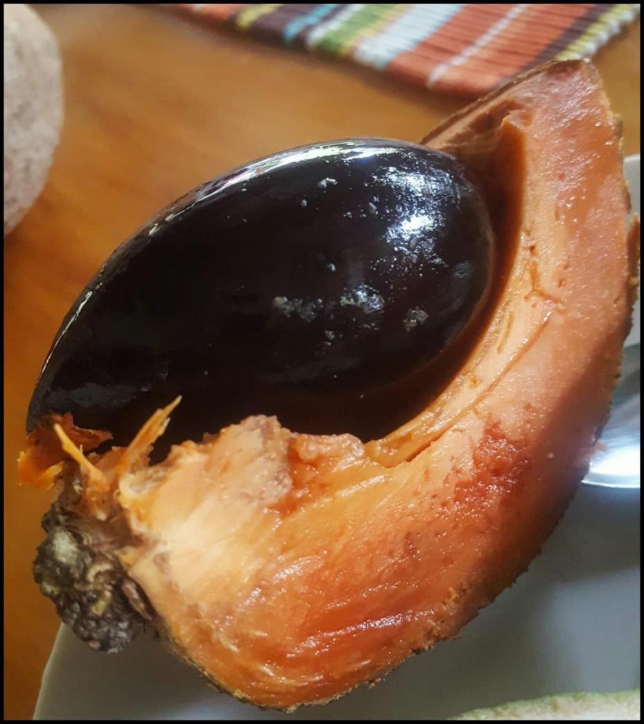 Monte Santo Y Café