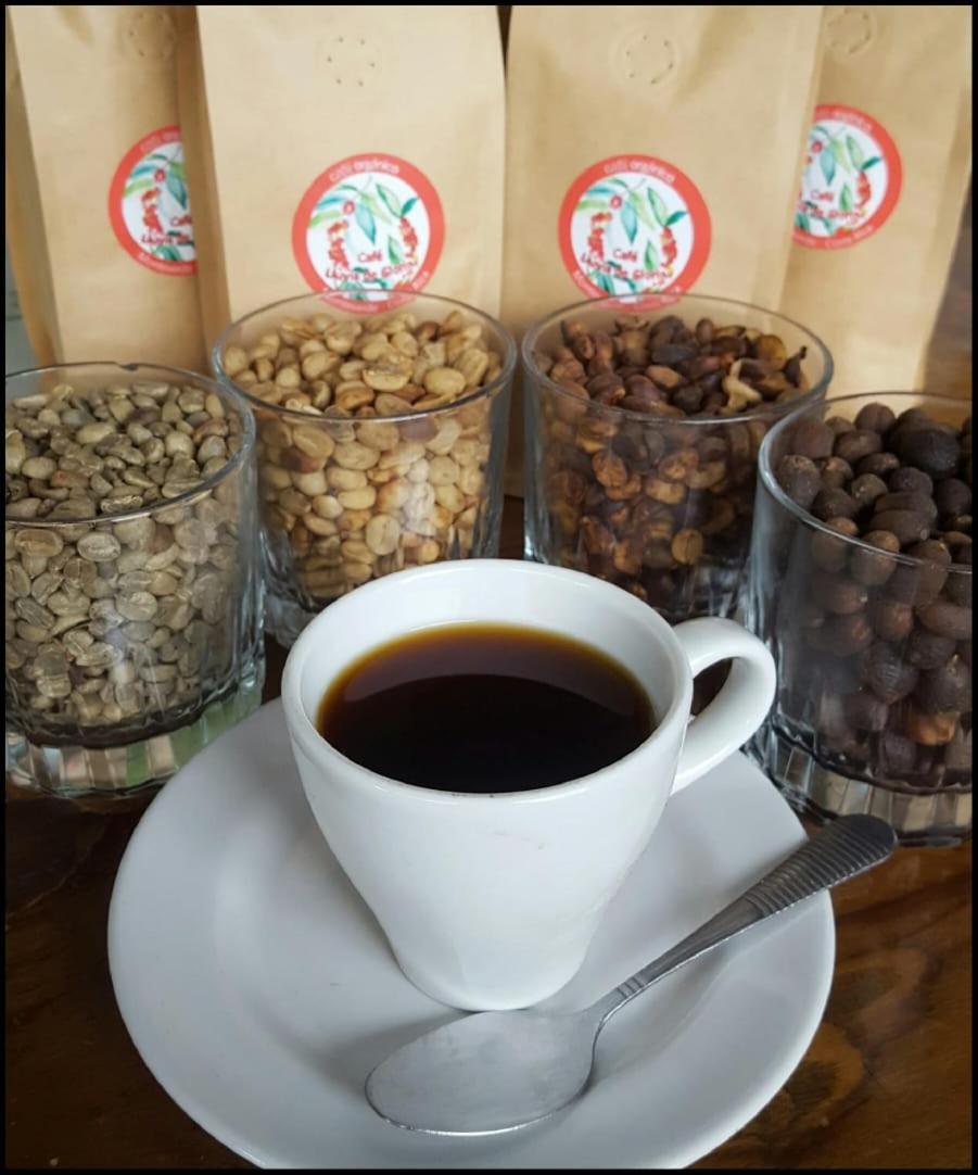 Monte Santo Y Café
