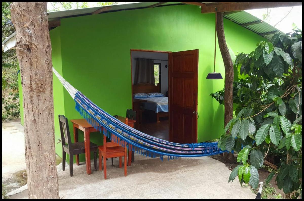Monte Santo Y Café