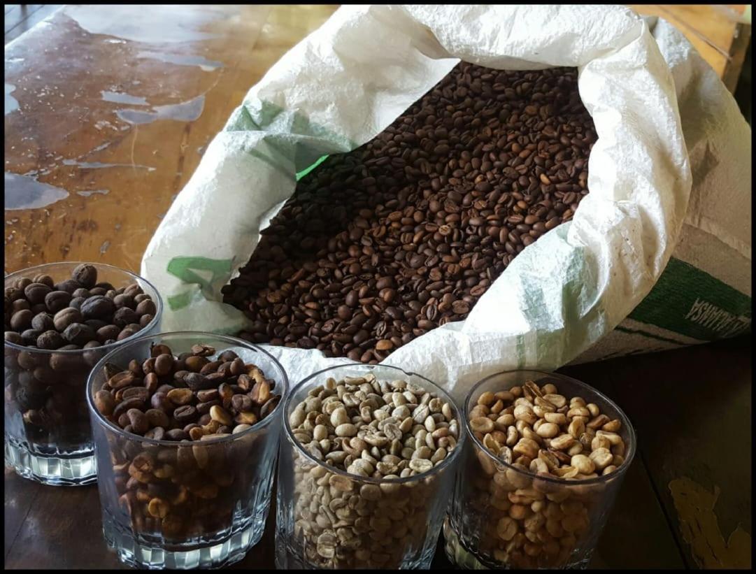 Monte Santo Y Café