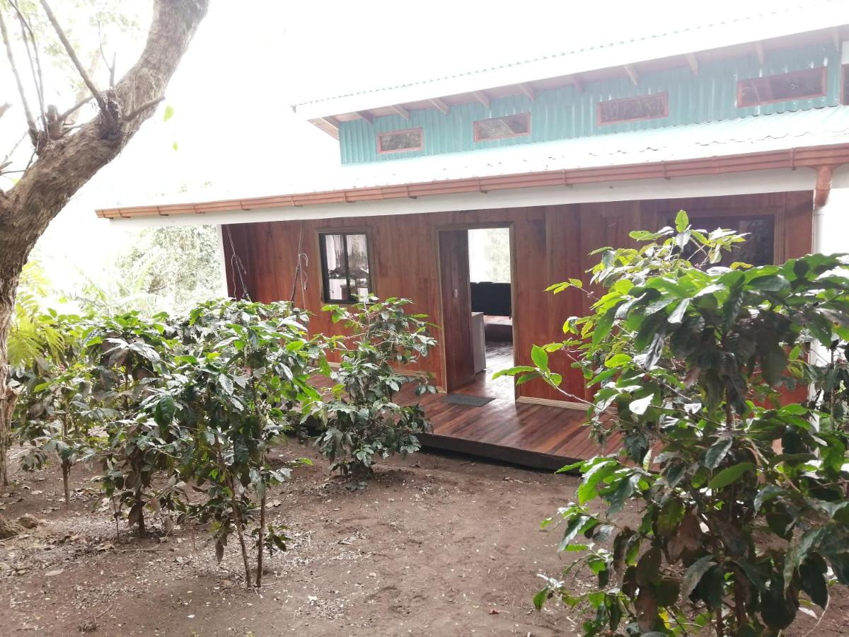 Monte Santo Y Café