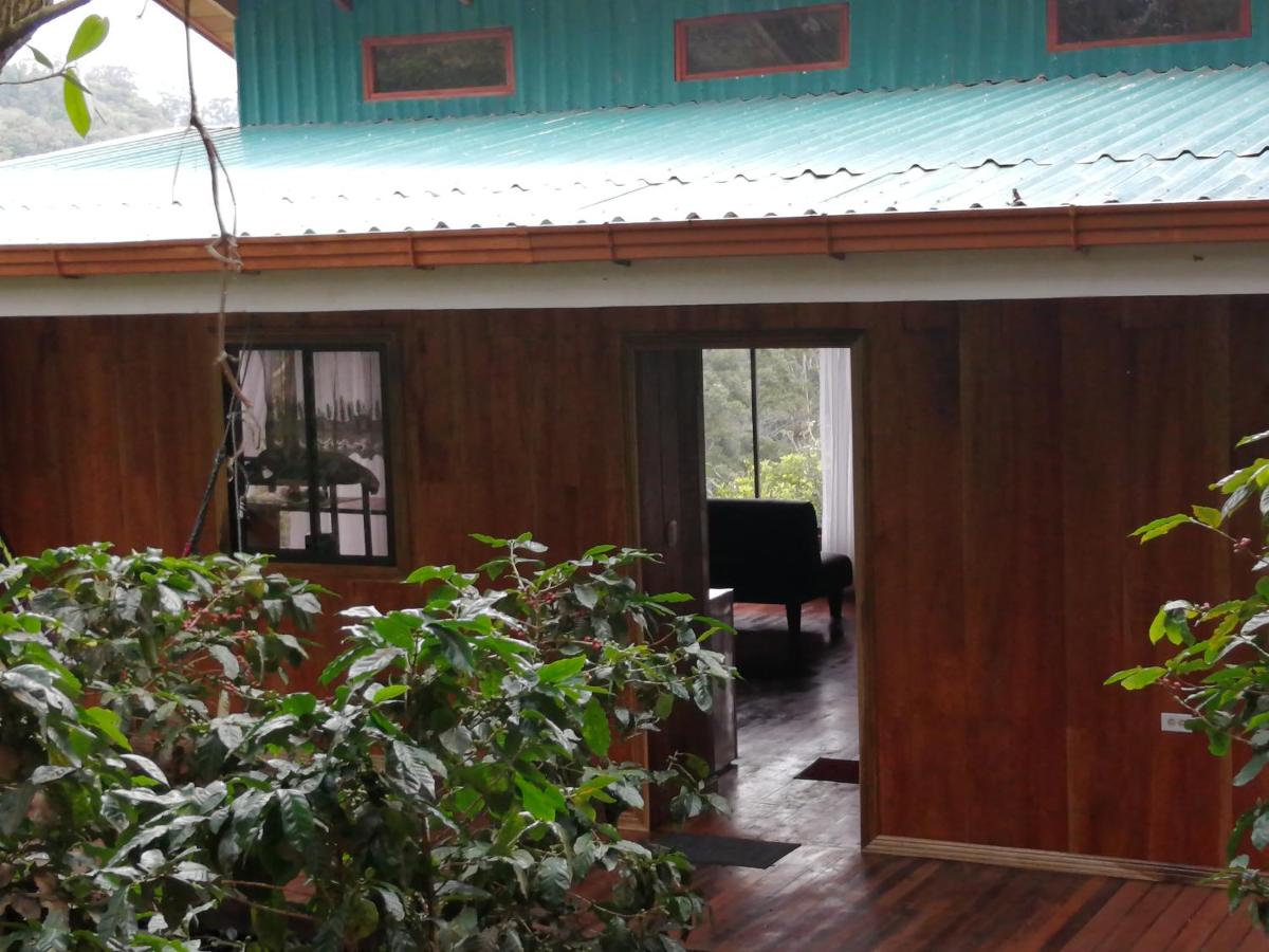 Monte Santo Y Café