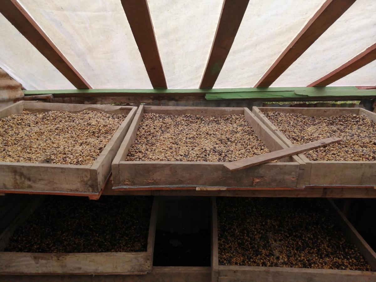 Monte Santo Y Café