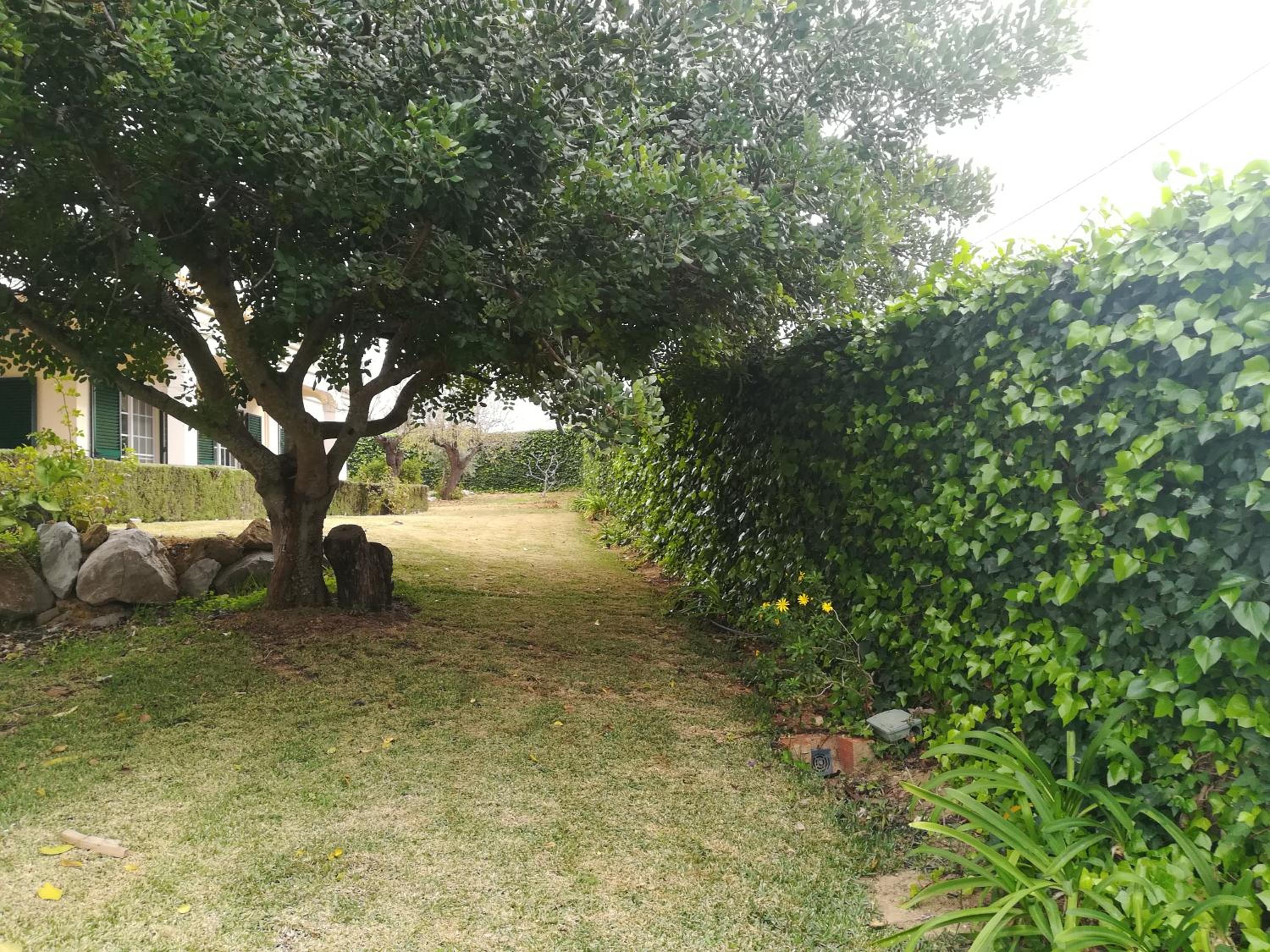 Photo 35