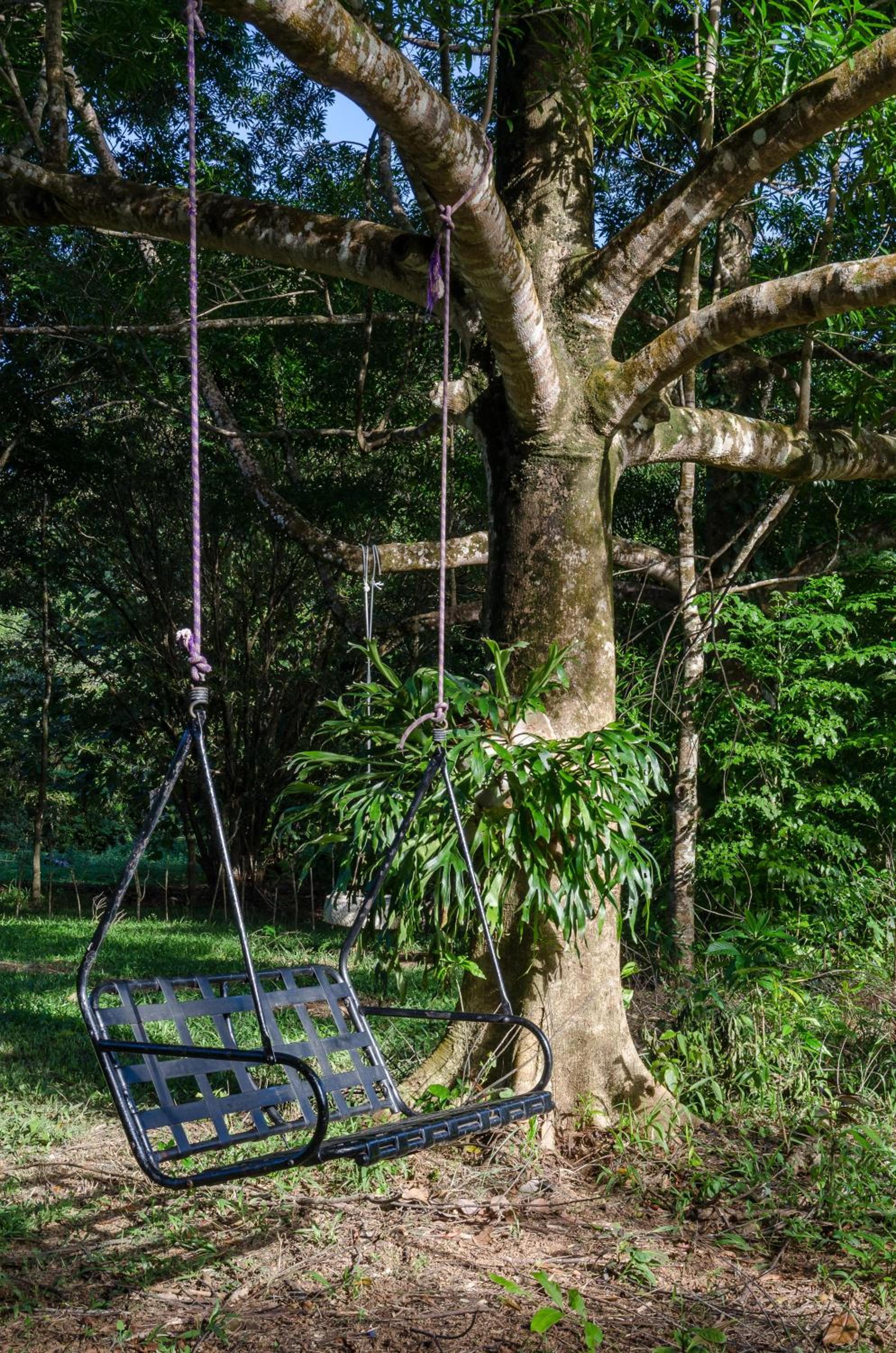 Epiphyte B & B