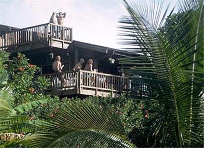 Backpackers Vacation Inn and Plantation Village
