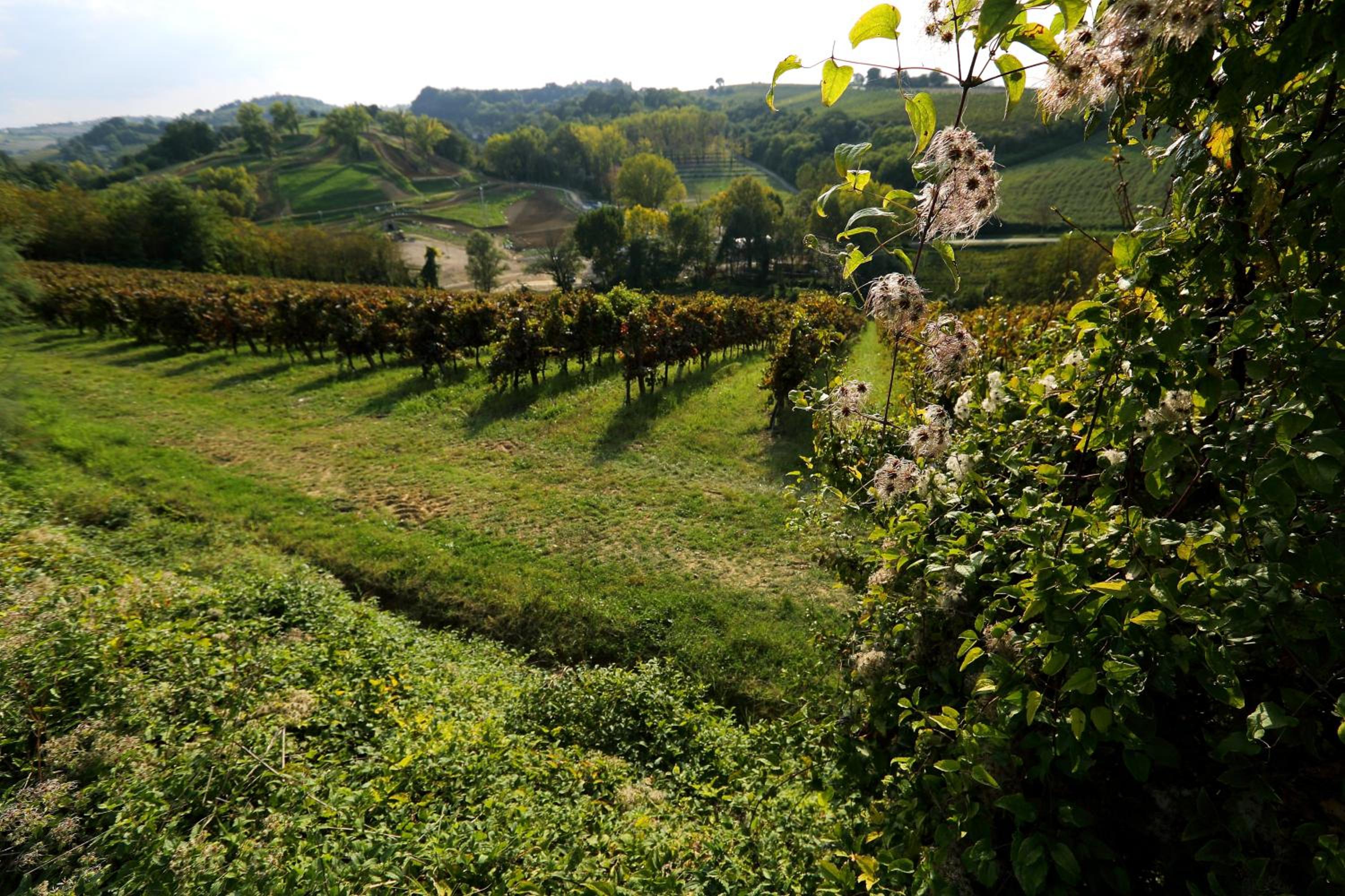 Agriturismo Trerè