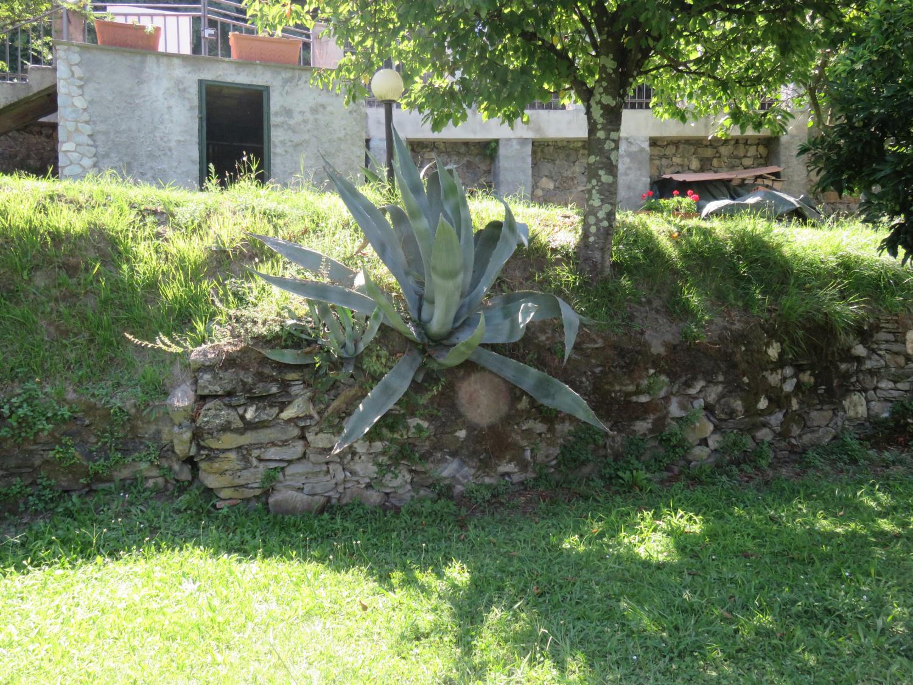 Photo 27