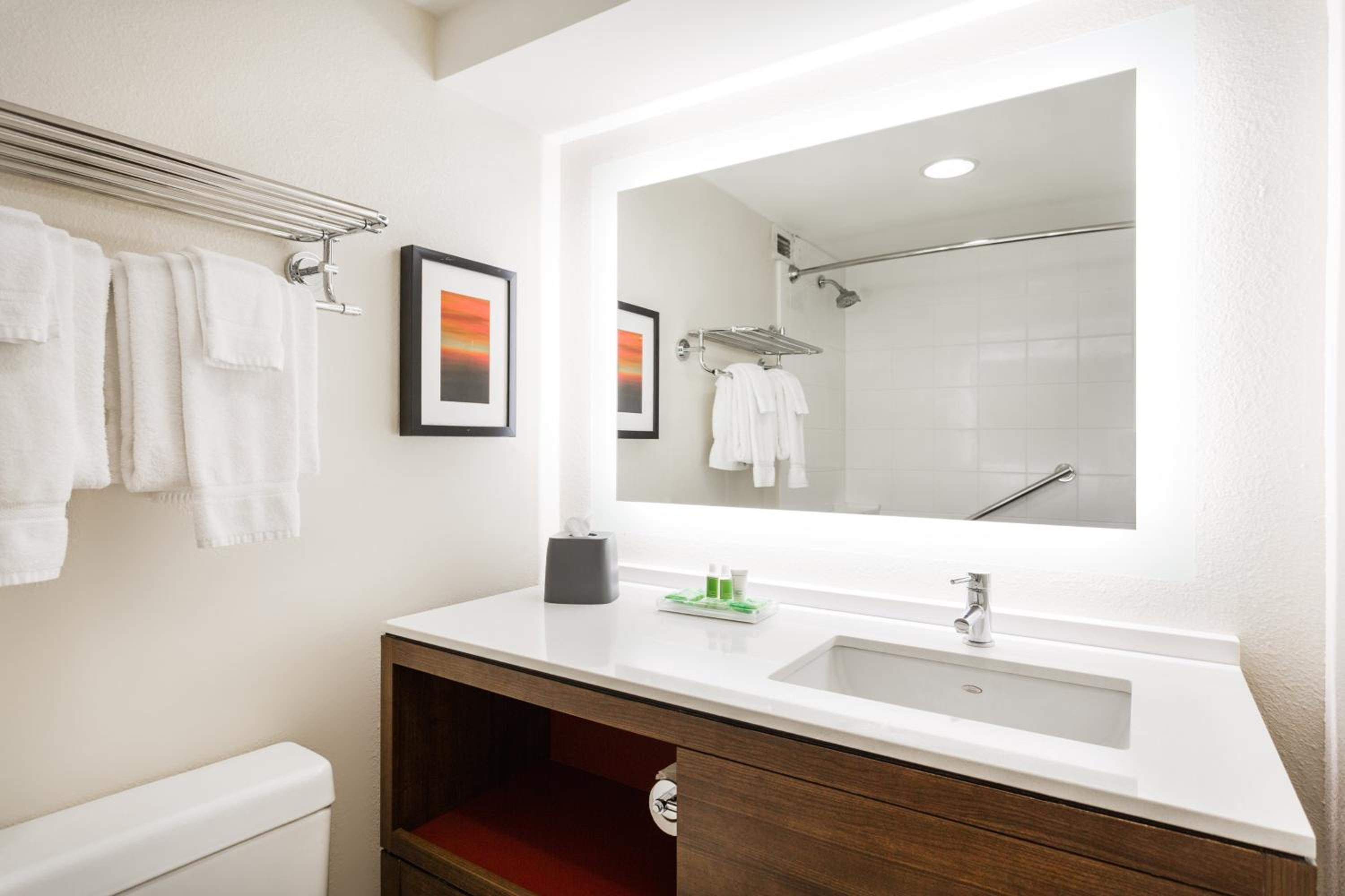 Holiday Inn Timonium, an IHG Hotel - Property Image 10