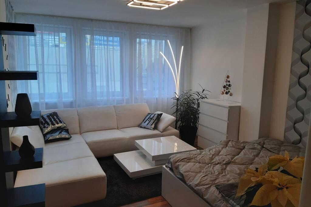 Prague apartment in Most near Golf club, aqua-hipo-autodrom in Most view 4