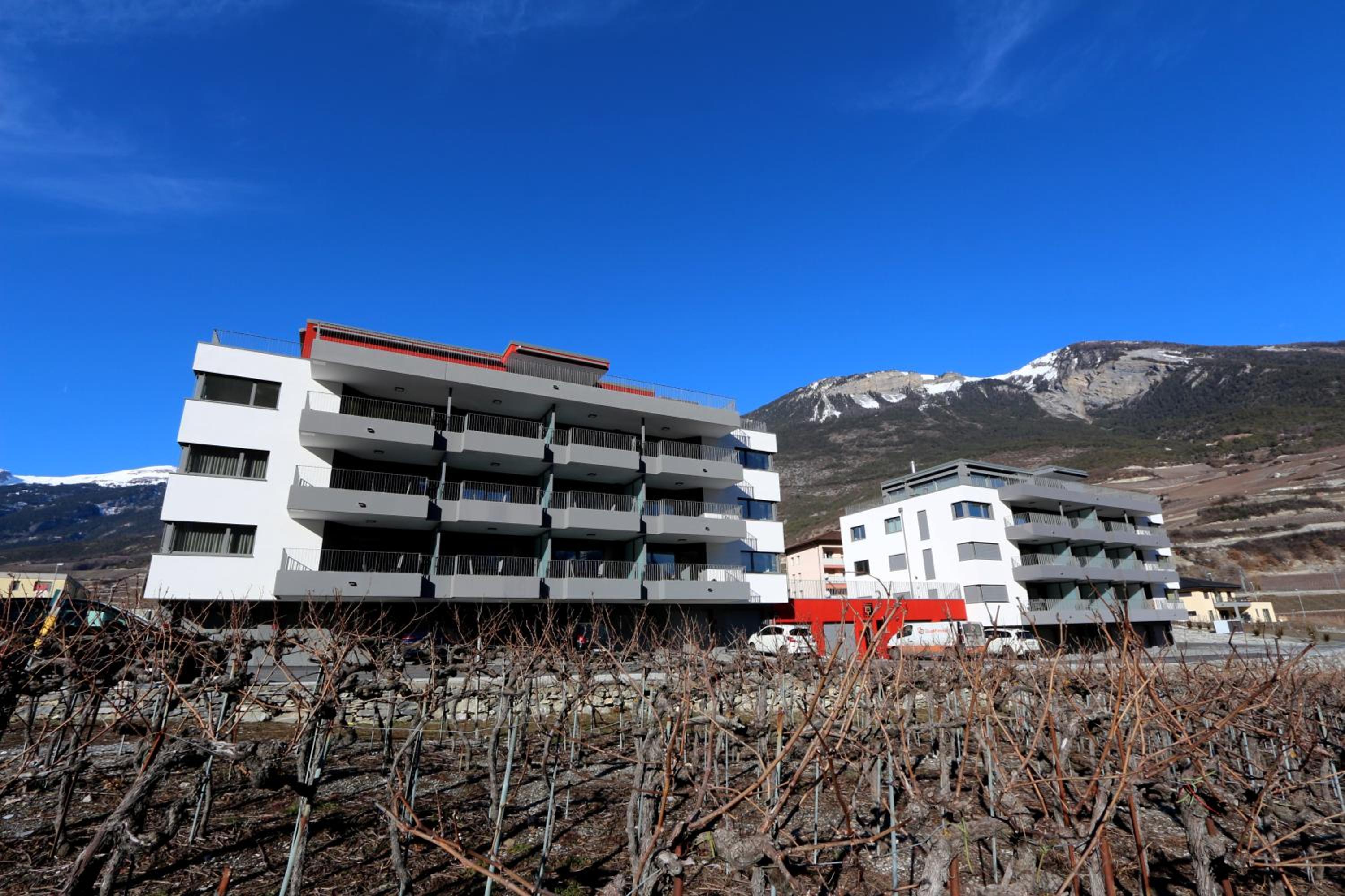 BnB Vino Veritas