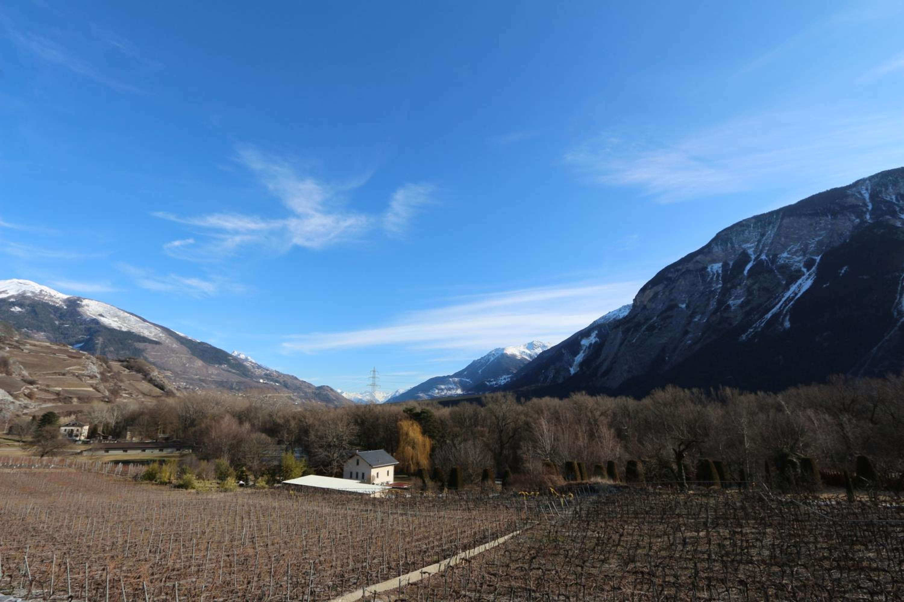 BnB Vino Veritas