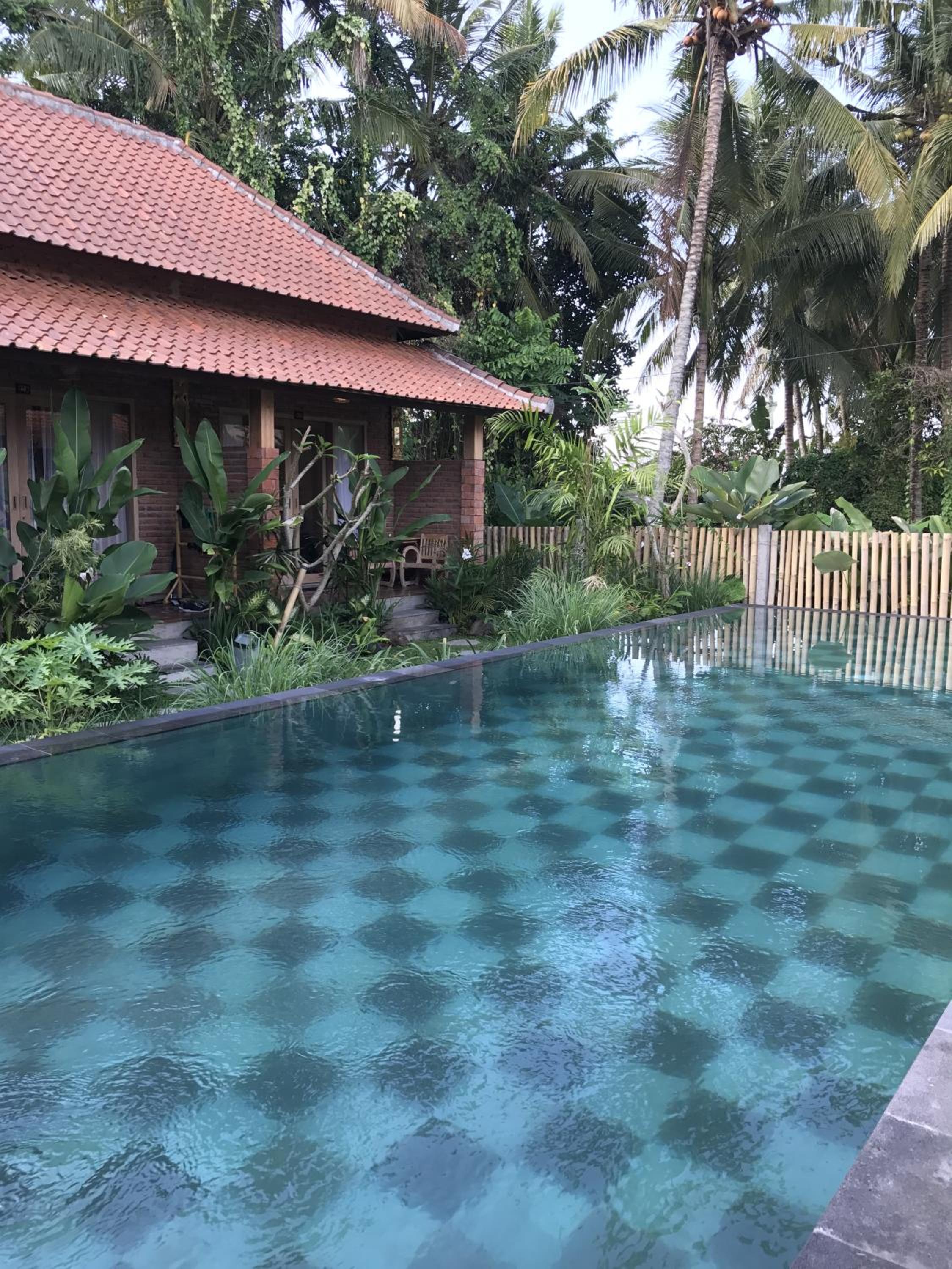Kailash Bali