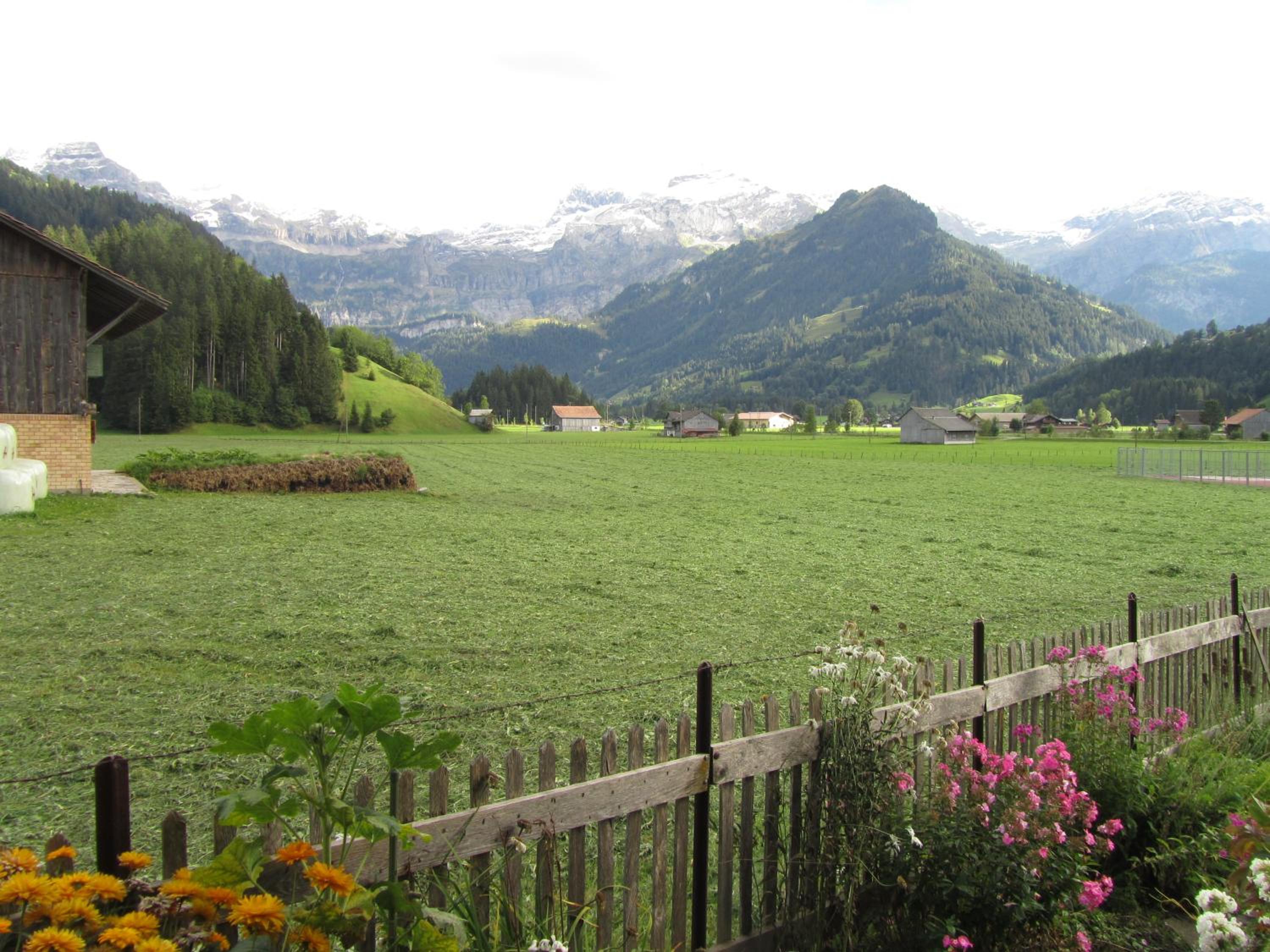 Photo 10
