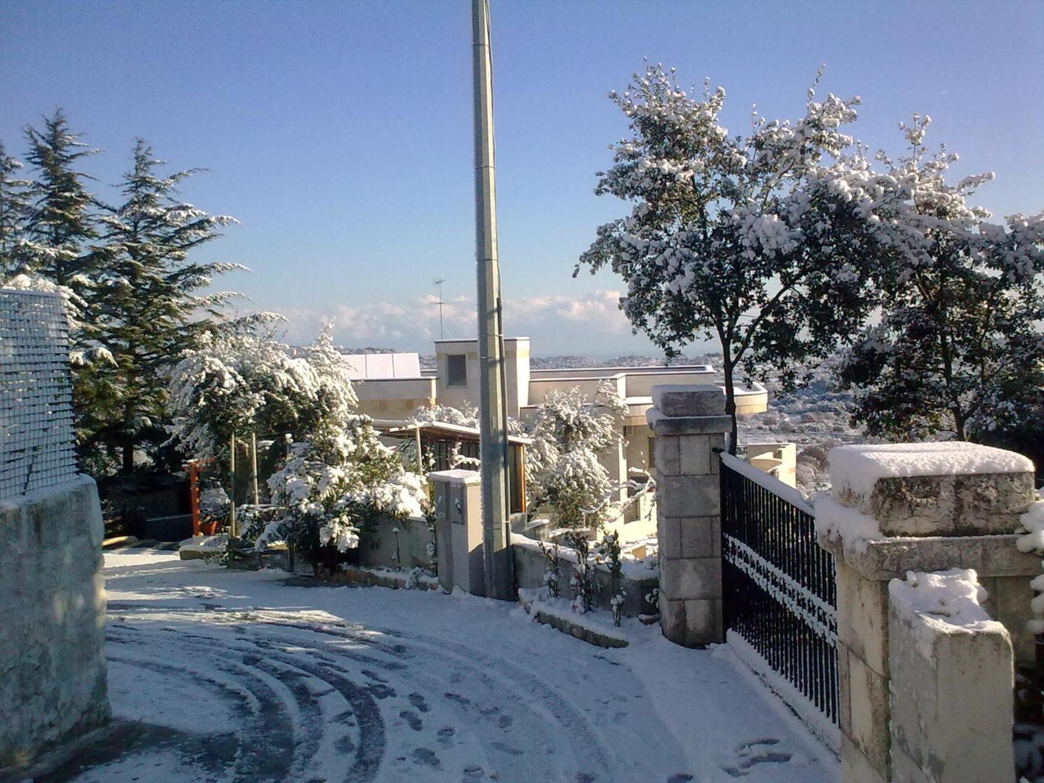 Photo 45