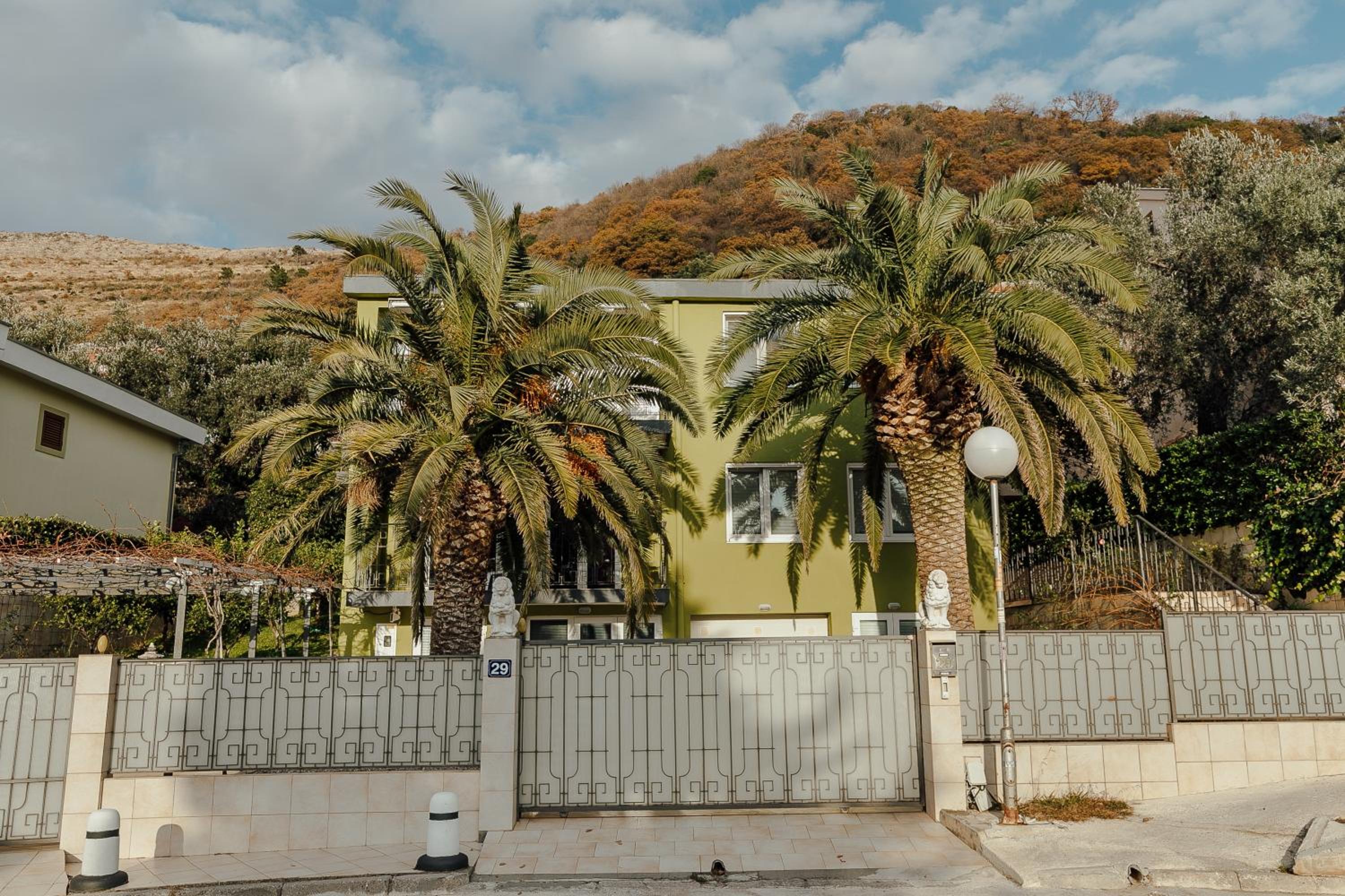 Palm Point Apartment