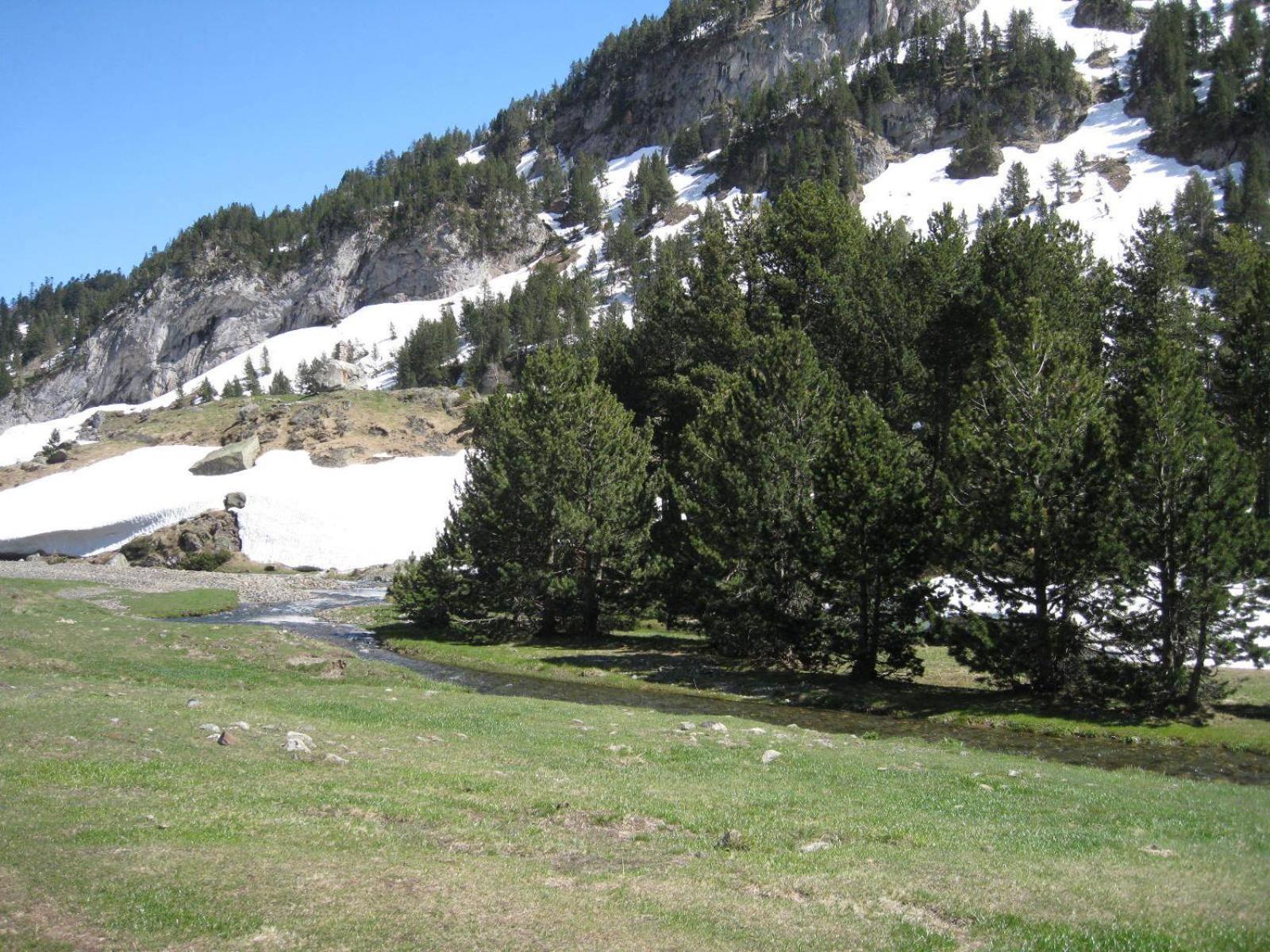 Photo 31
